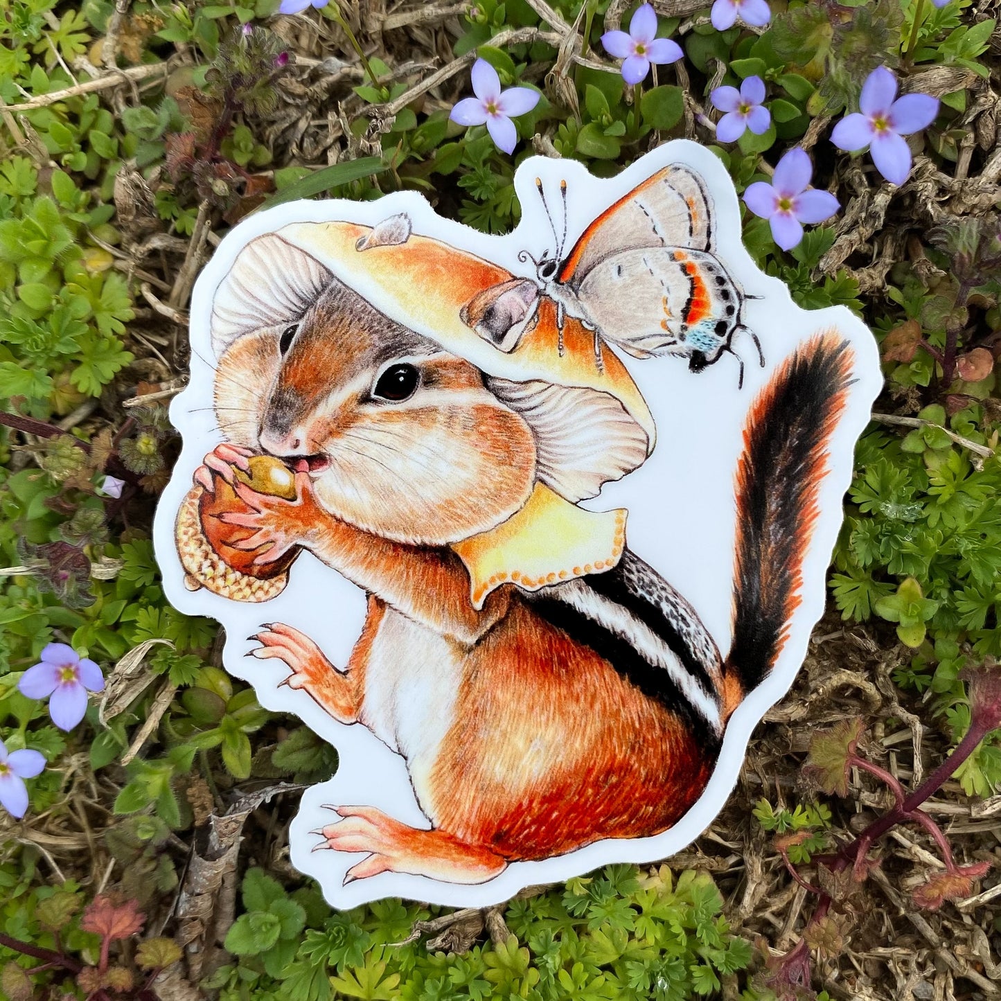 Honey Mushroom Chipmunk Weatherproof Vinyl Sticker