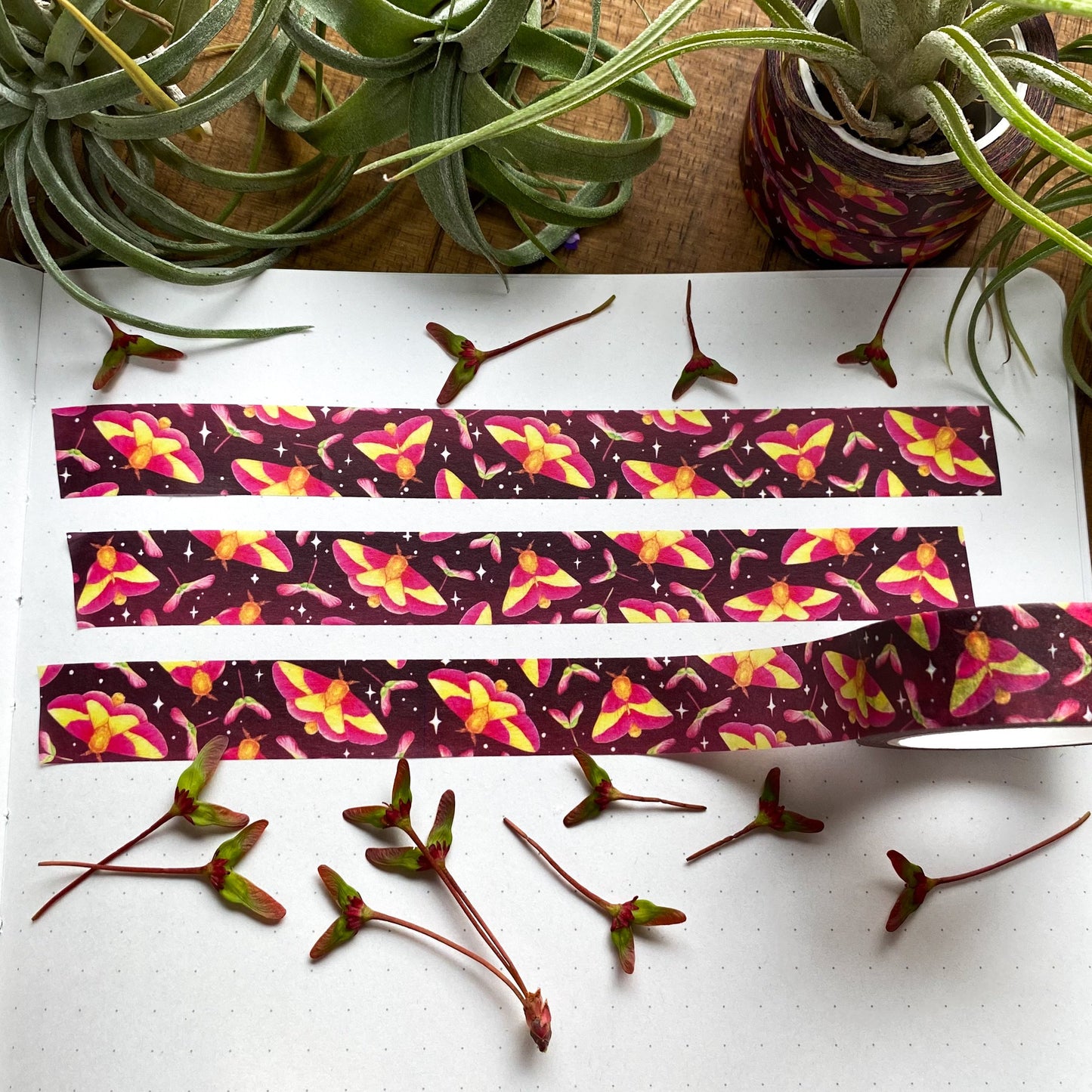 Washi tape featuring rosy maple moths and samaras in a notebook