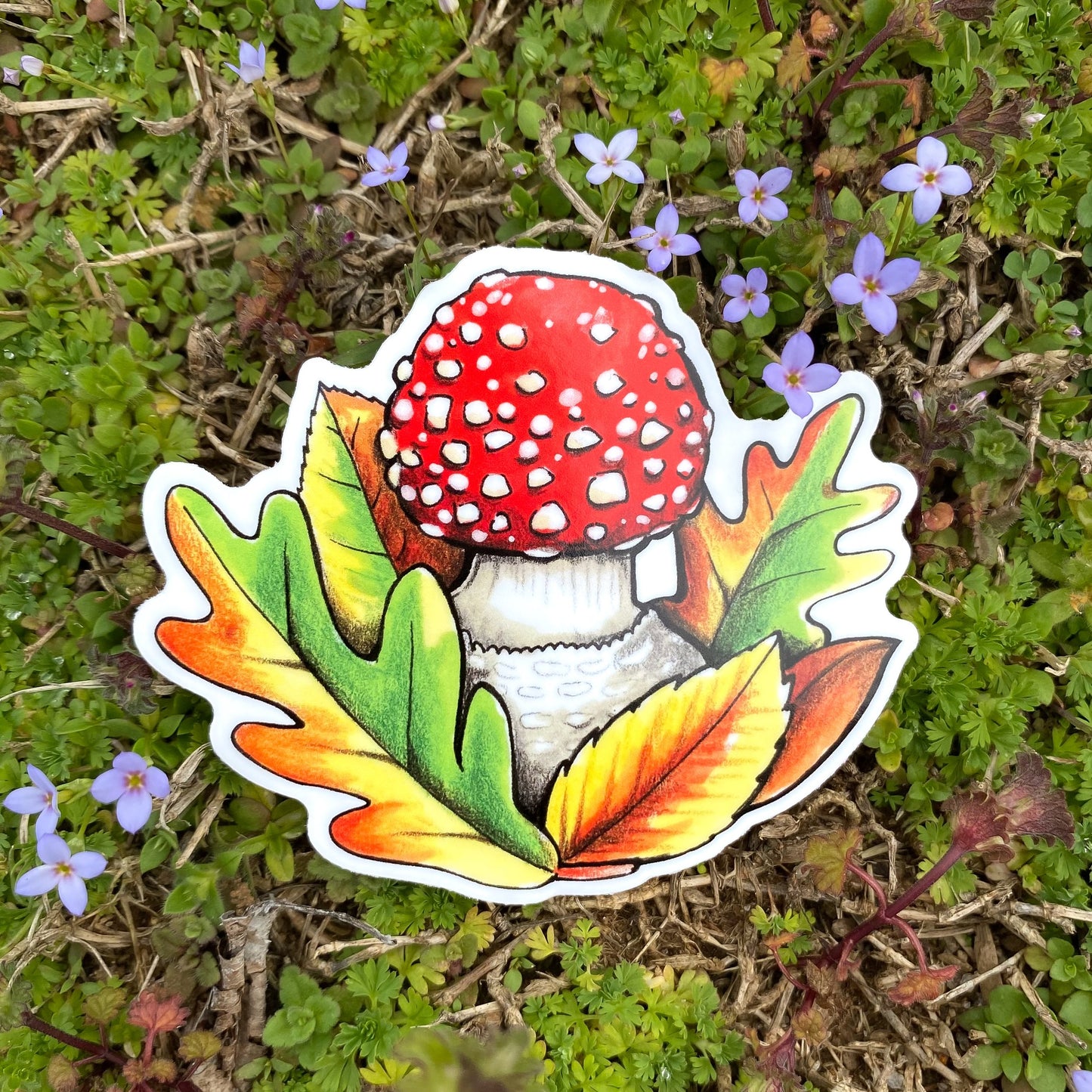 A hand holding a sticker featuring an illustration of a fly agaric mushroom