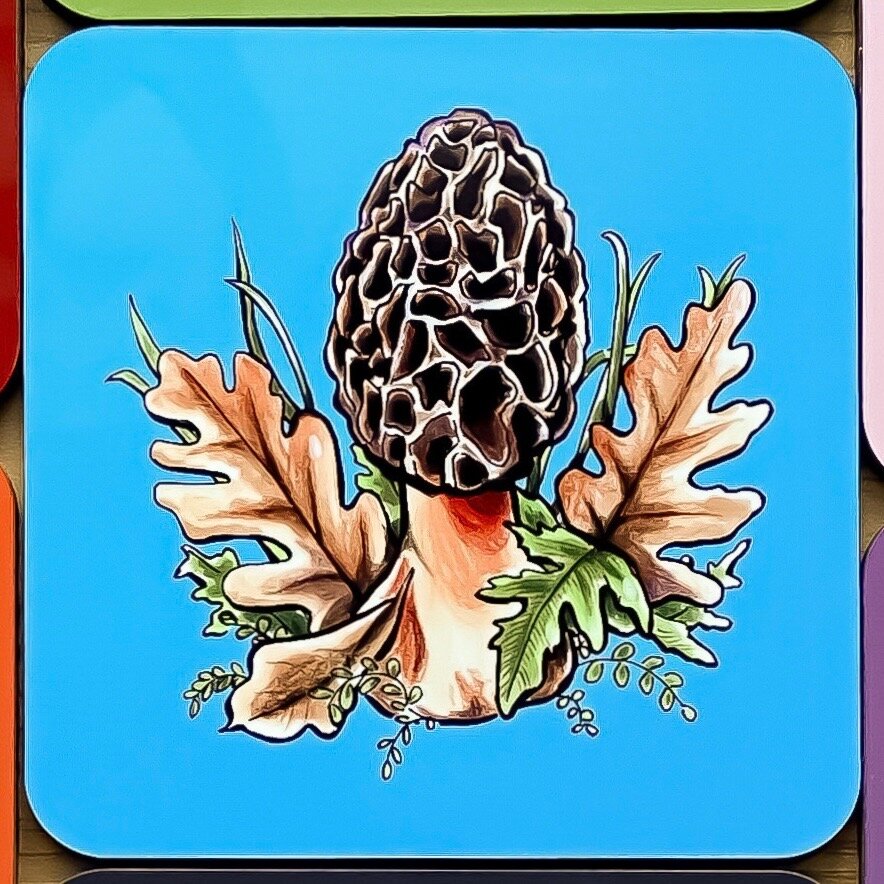 Mushroom Coasters (Individual)