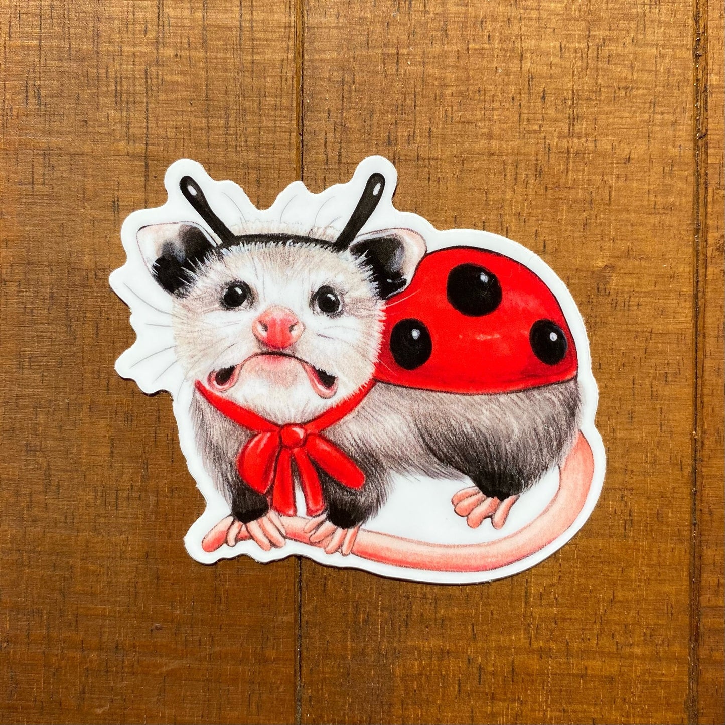 A weatherproof vinyl sticker featuring an illustration of an opossum dressed as a ladybug