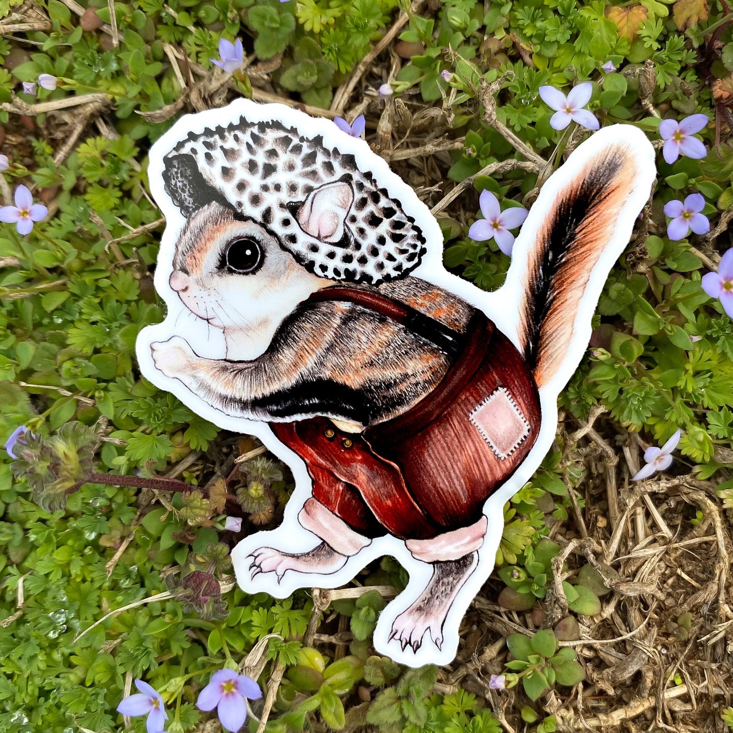 Old Man of the Woods Flying Squirrel Weatherproof Vinyl Sticker
