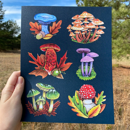 Mushroom 8" x 10" Print