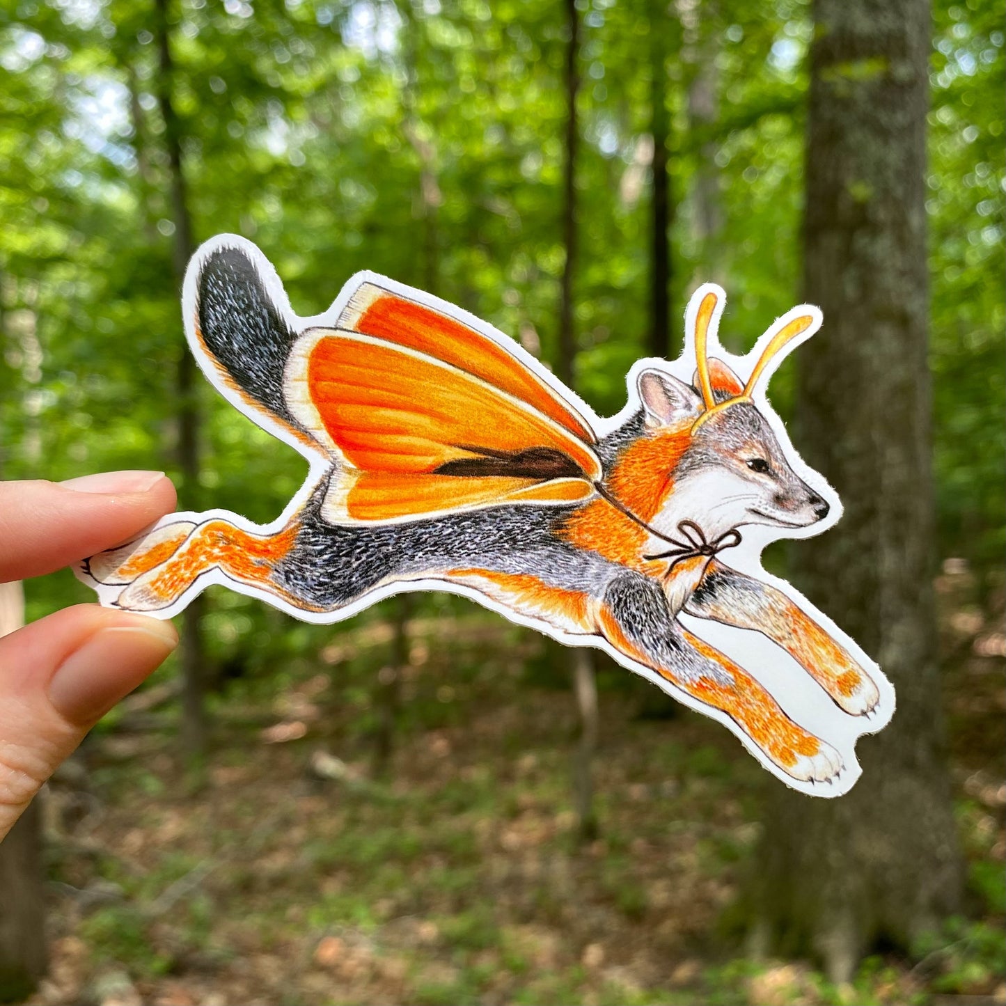 A hand holding a weatherproof vinyl sticker of a gray fox dressed up in skipper butterfly wings in front of a forest.
