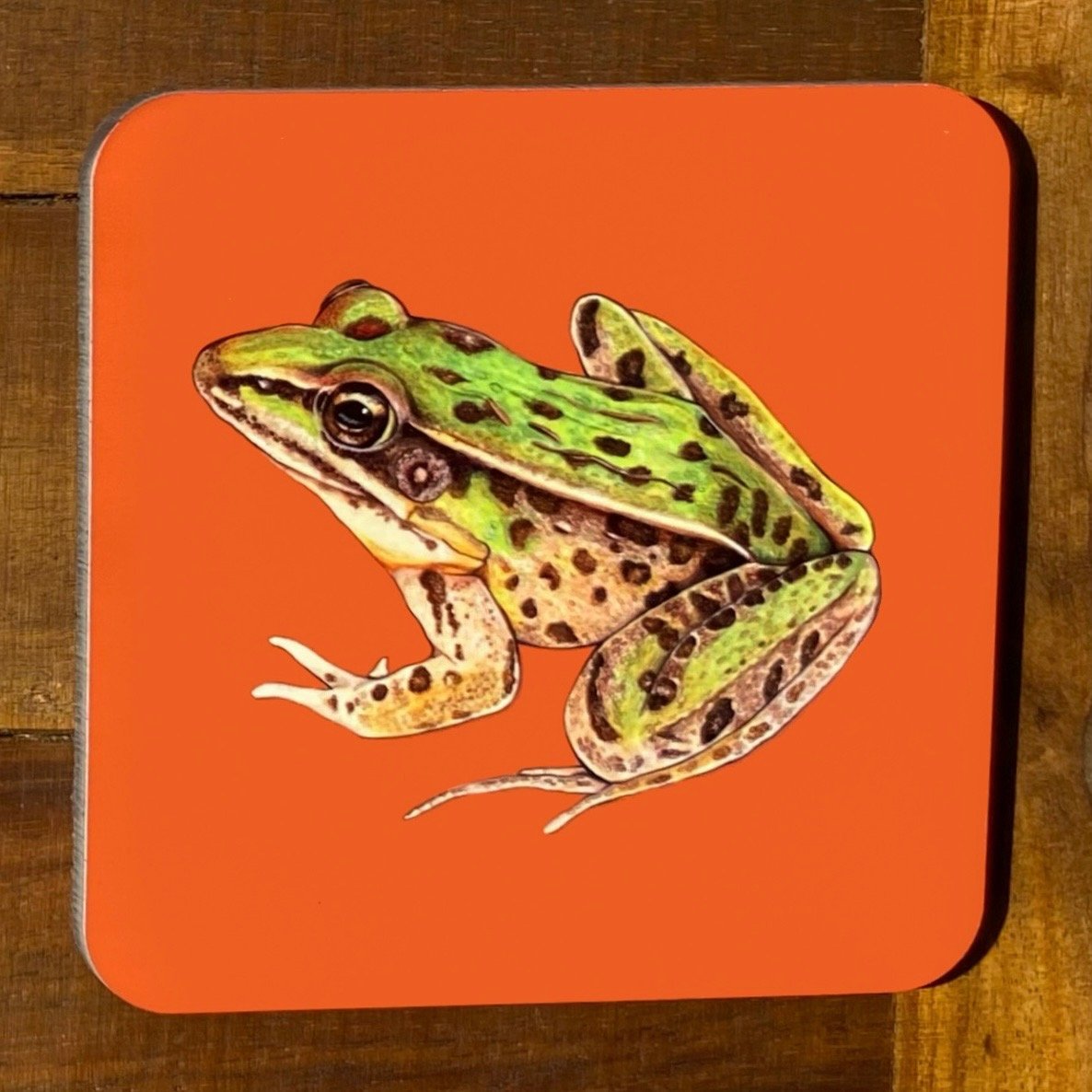 Frog and Toad Coasters (Individuals)