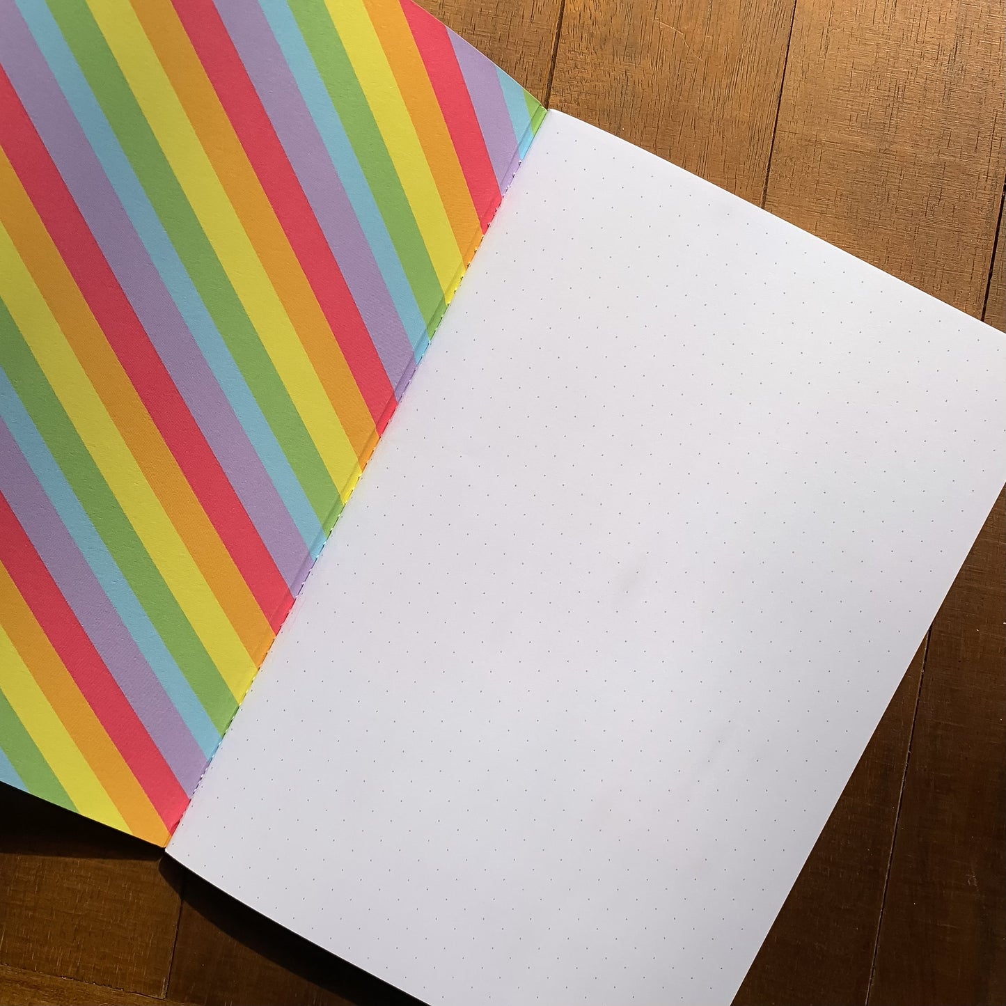 Rainbow Raccoon Handmade 5" x 8" Journal (Dotted)