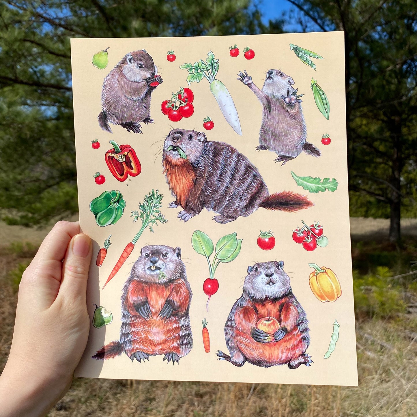 Garden Groundhogs 8" x 10" Print