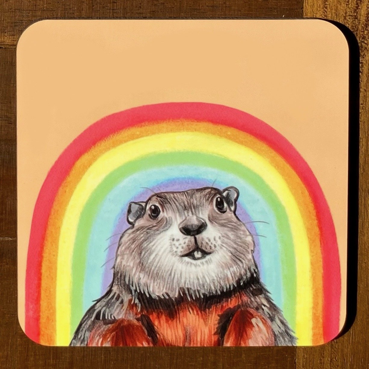 Rainbow Friends Coasters (Individuals)