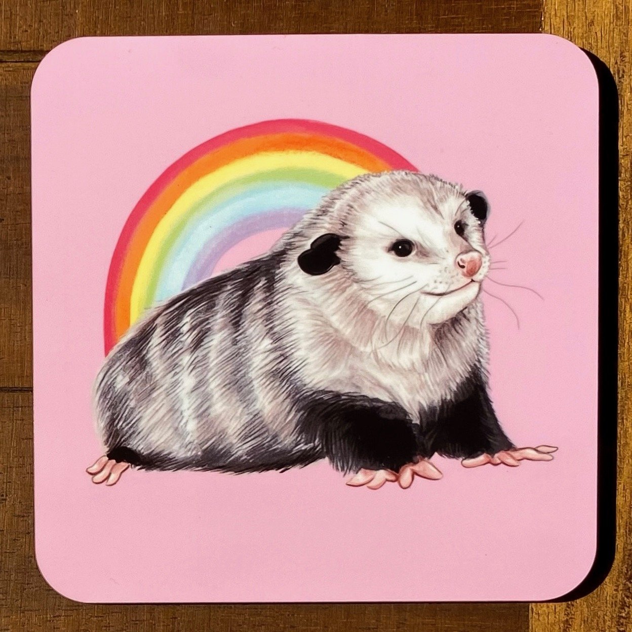 Rainbow Friends Coasters (Individuals)