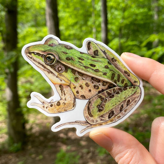A hand holding a weatherproof vinyl sticker of a leopard frog.