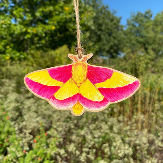 A wooden ornament strung with twine of a pink and yellow rosy maple moth.