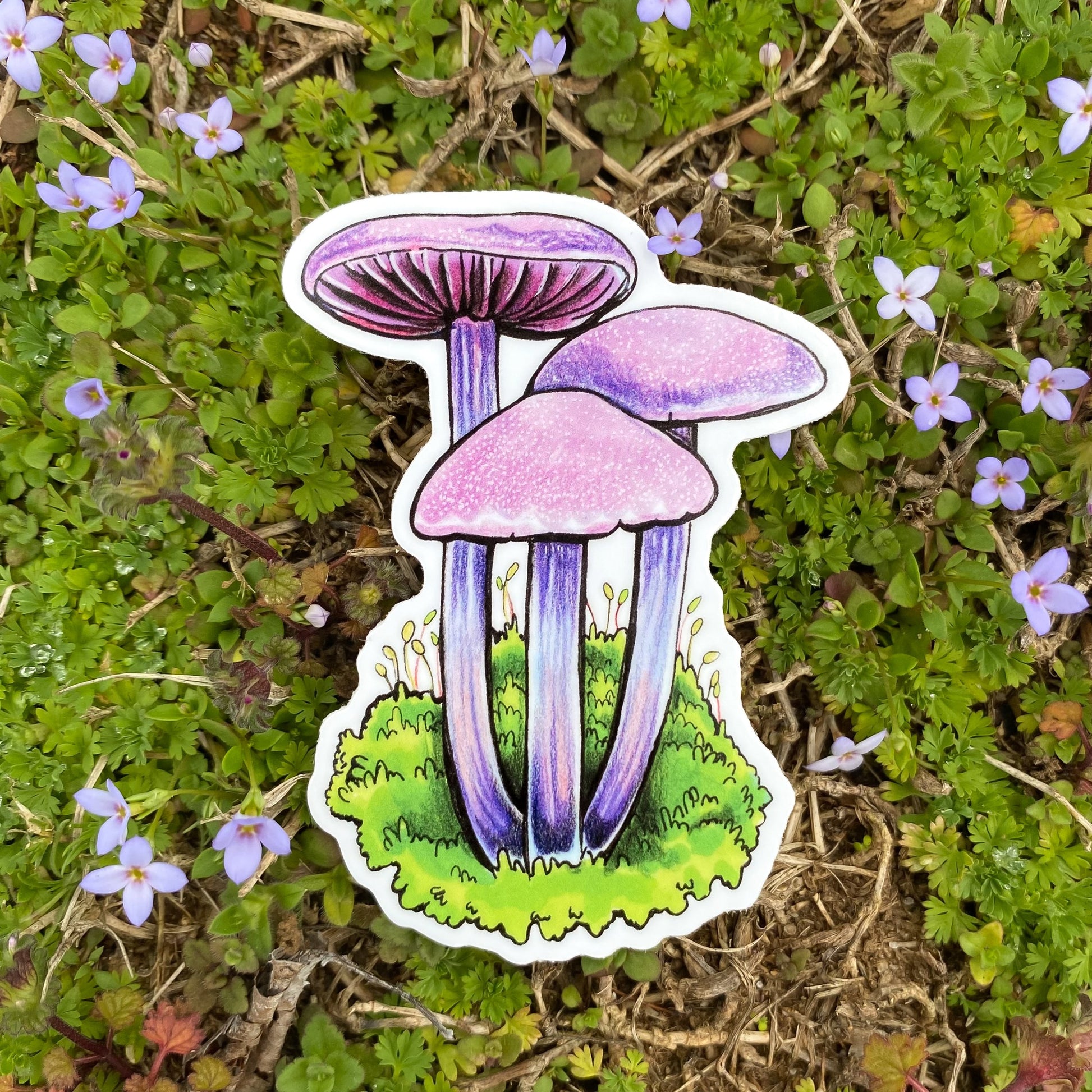 A hand holds a weatherproof vinyl sticker featuring an illustration of an amethyst deceiver mushroom
