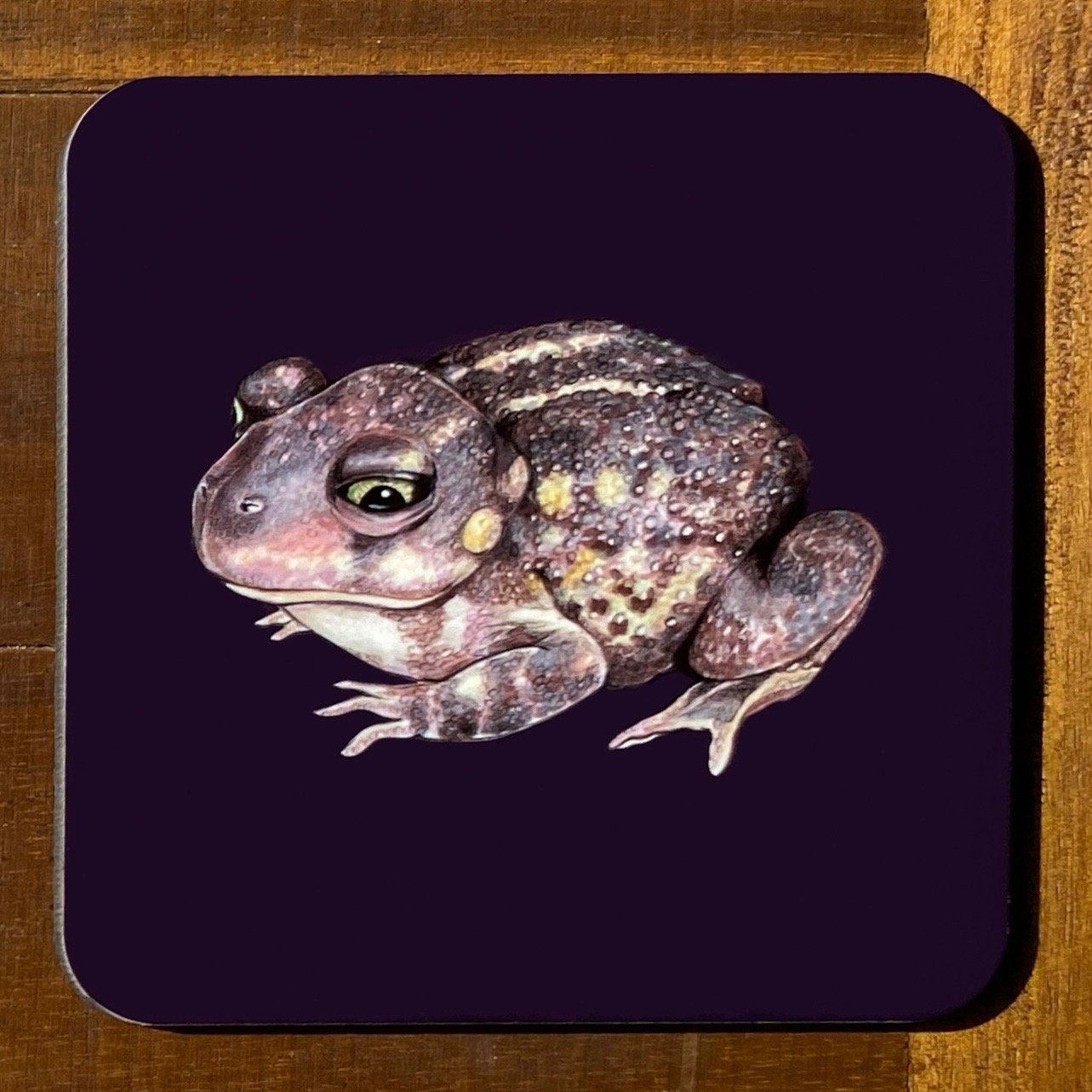 Frog and Toad Coasters (Individuals)