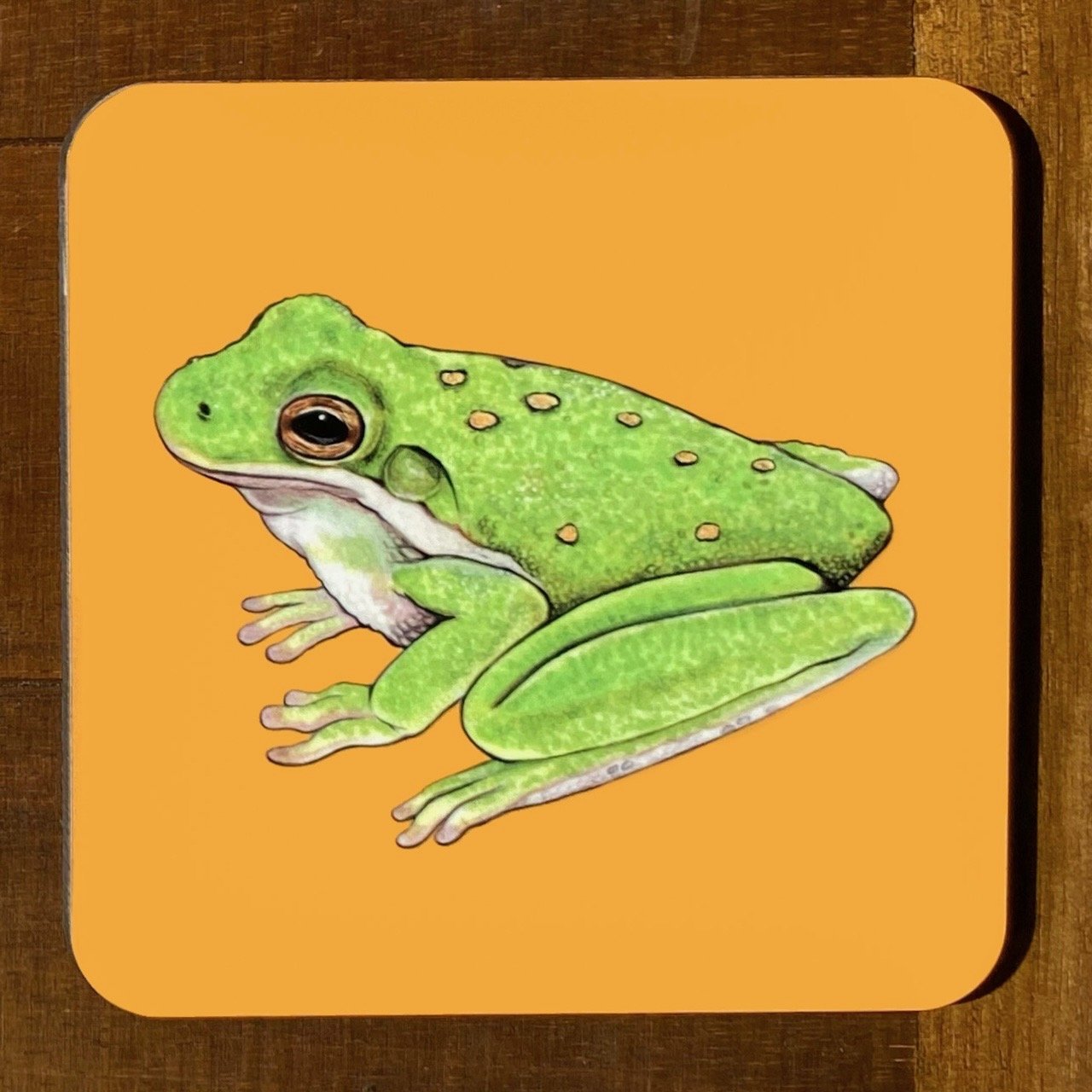 Frog and Toad Coasters (Individuals)
