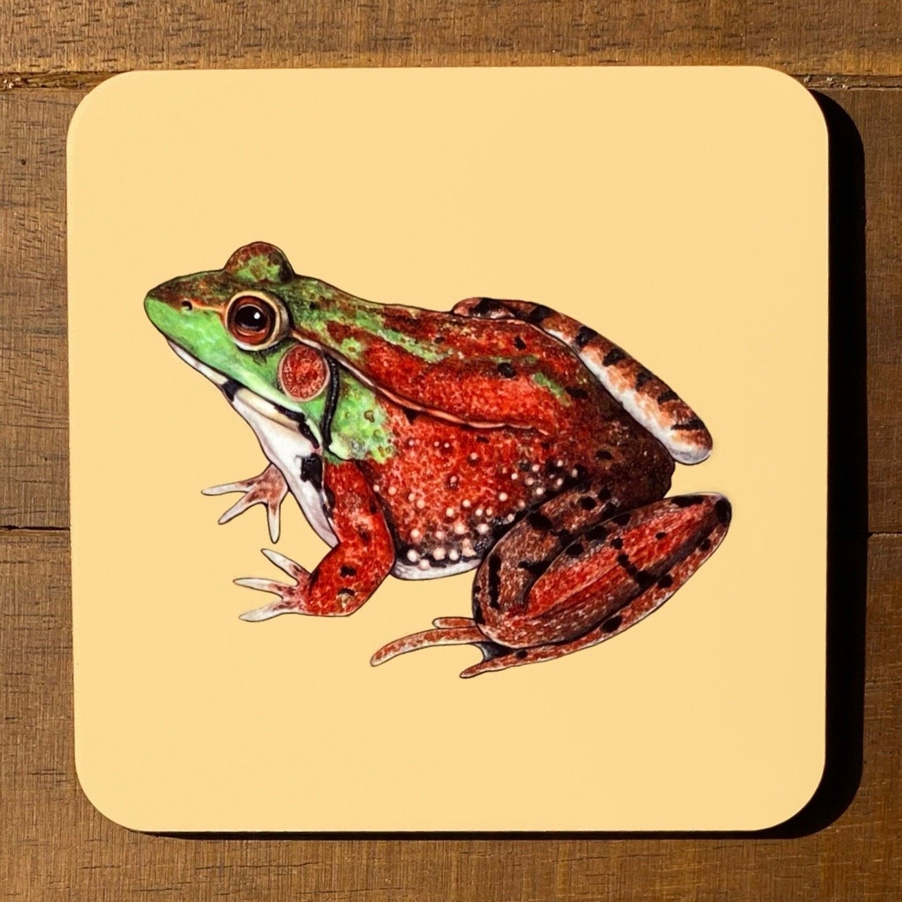 Frog and Toad Coasters (Individuals)