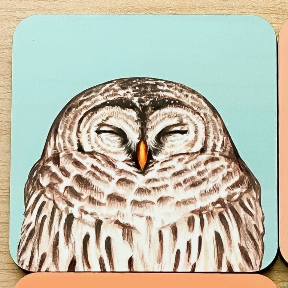 Owl coasters