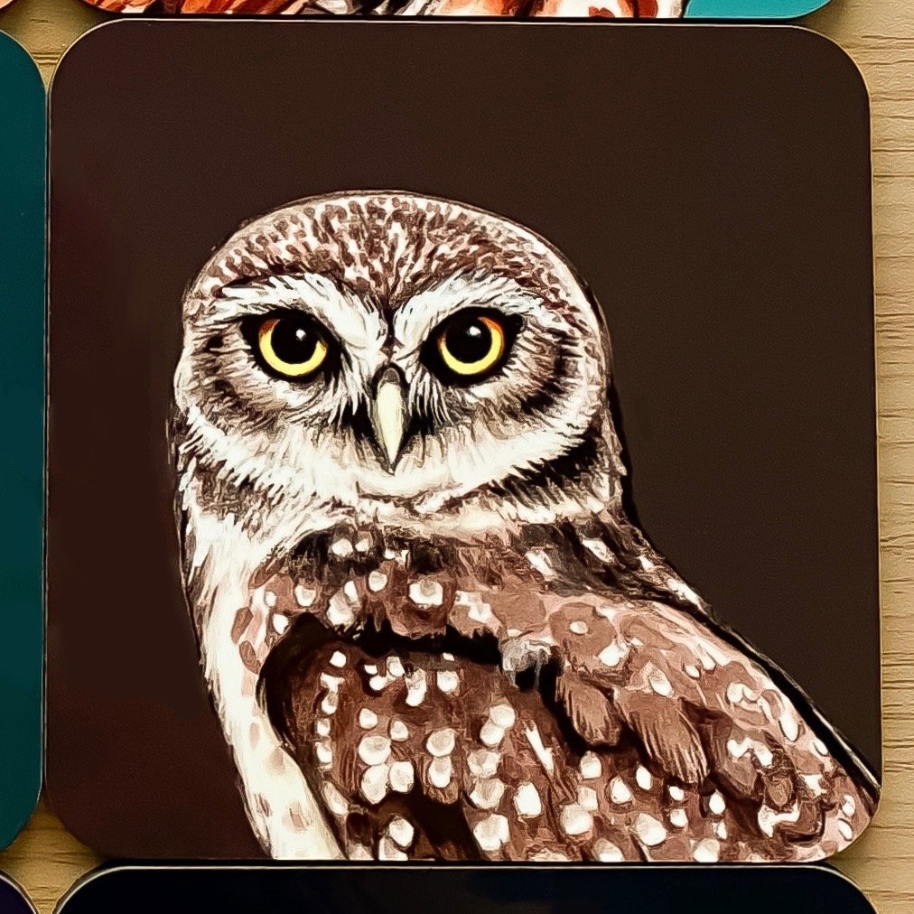 Owl coasters