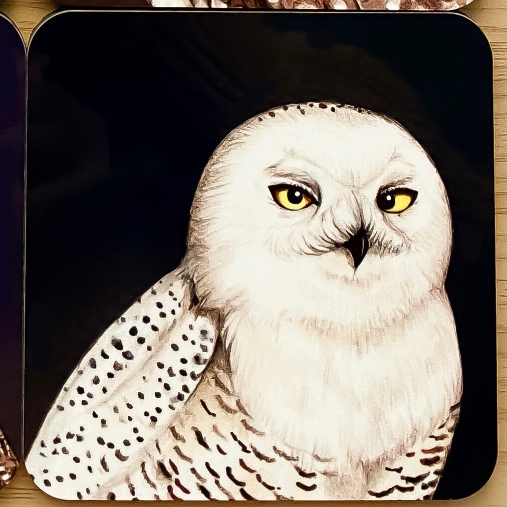 Owl coasters