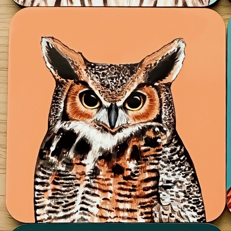 Owl coasters