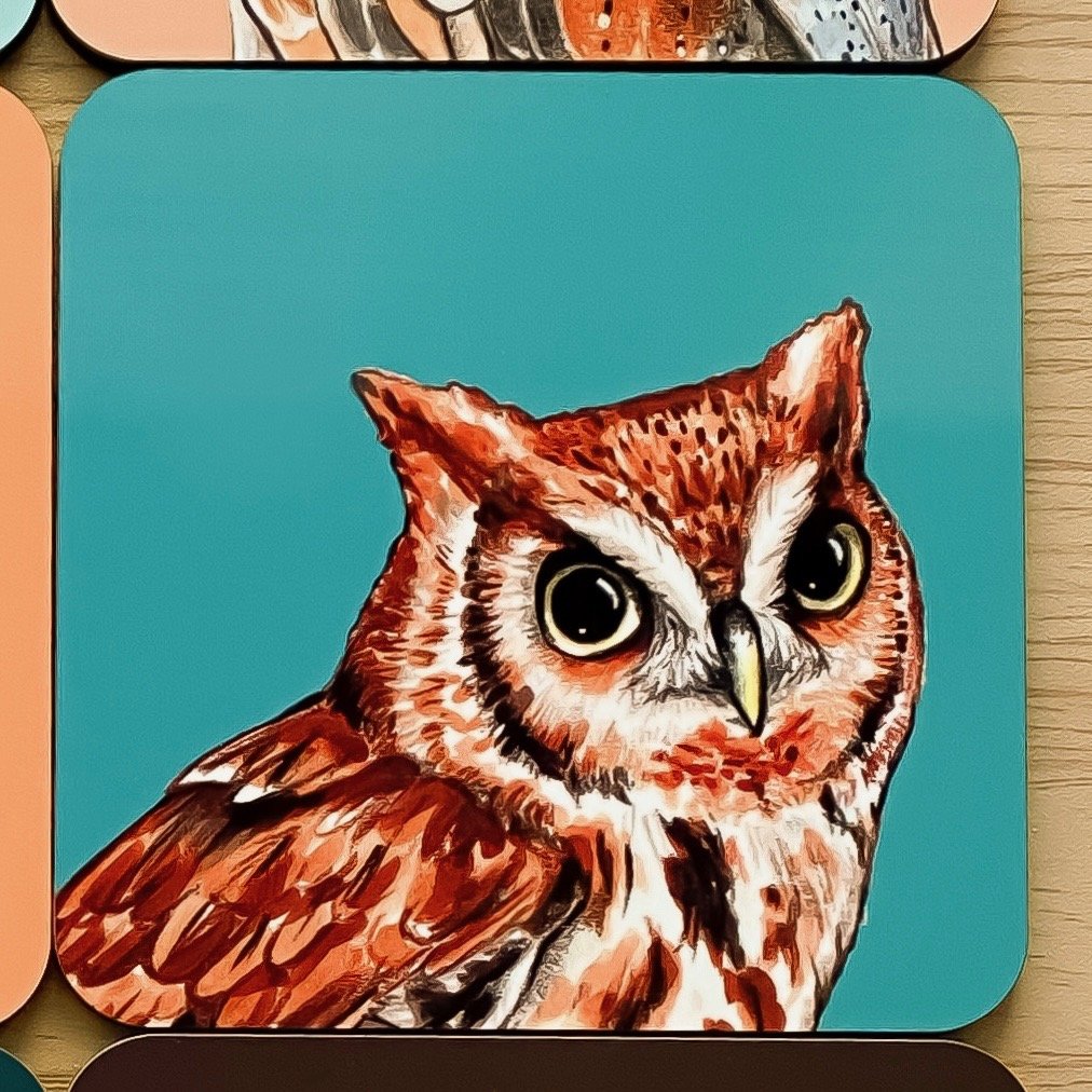 North American Owl Coasters (Entire Set)
