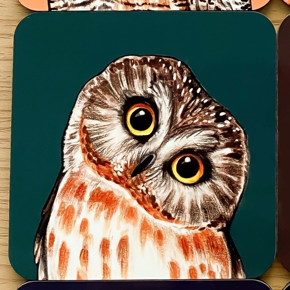 Owl coasters