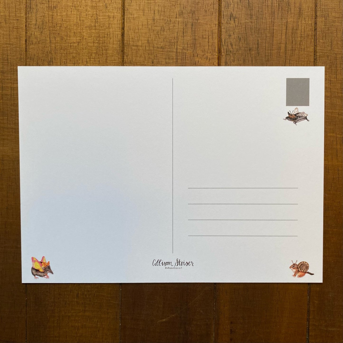 Costume Party Chipmunk, Bat, and Shrew Postcard