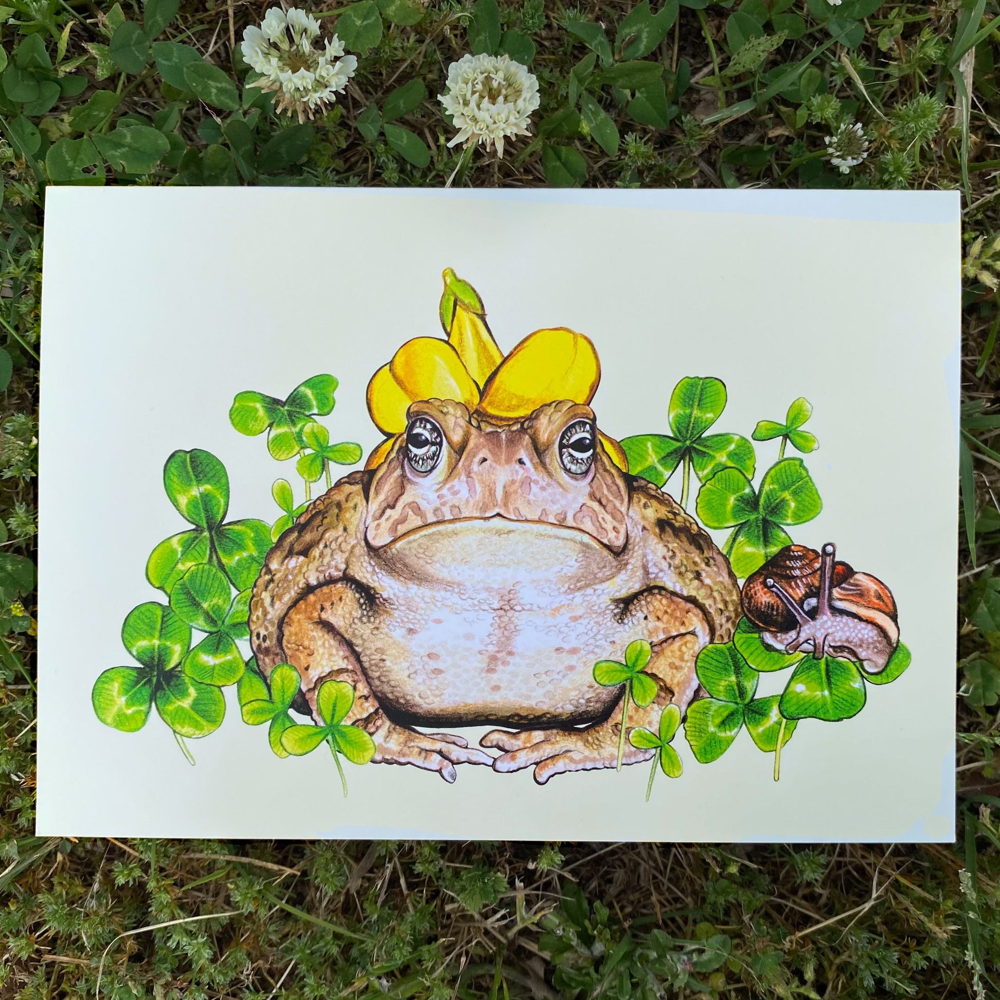 A card featuring a toad wearing a flower hat and his snail companion