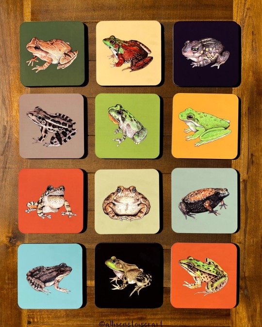 Frog and Toad Coasters (Individuals)