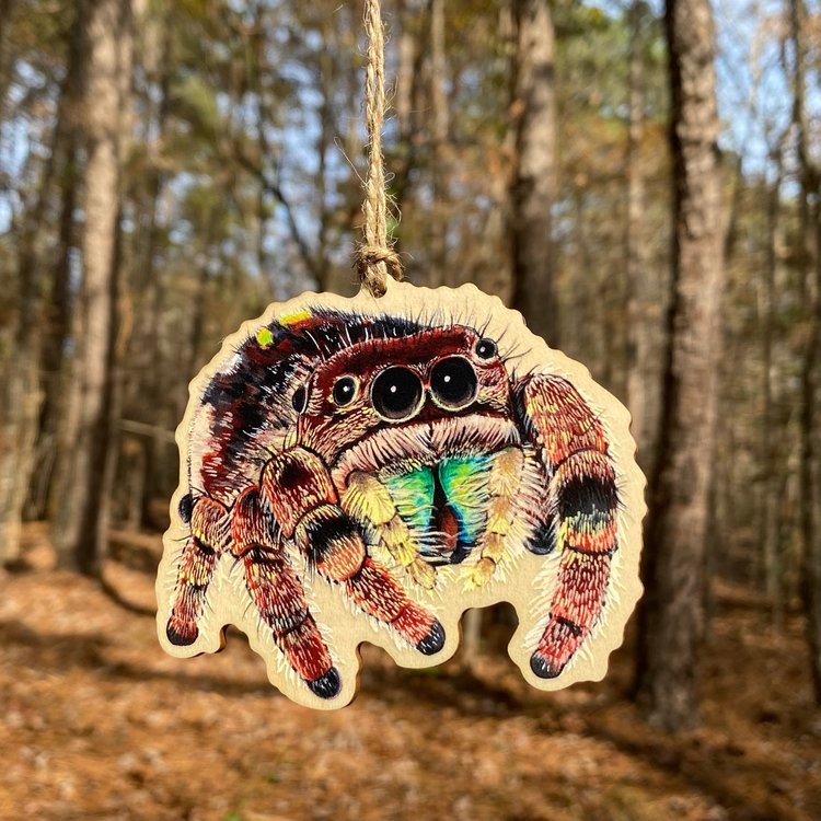 Jumping Spider Wood Print Ornament