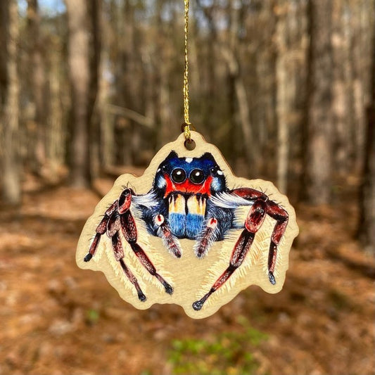 A wood print ornament featuring an illustration of a jumping spider