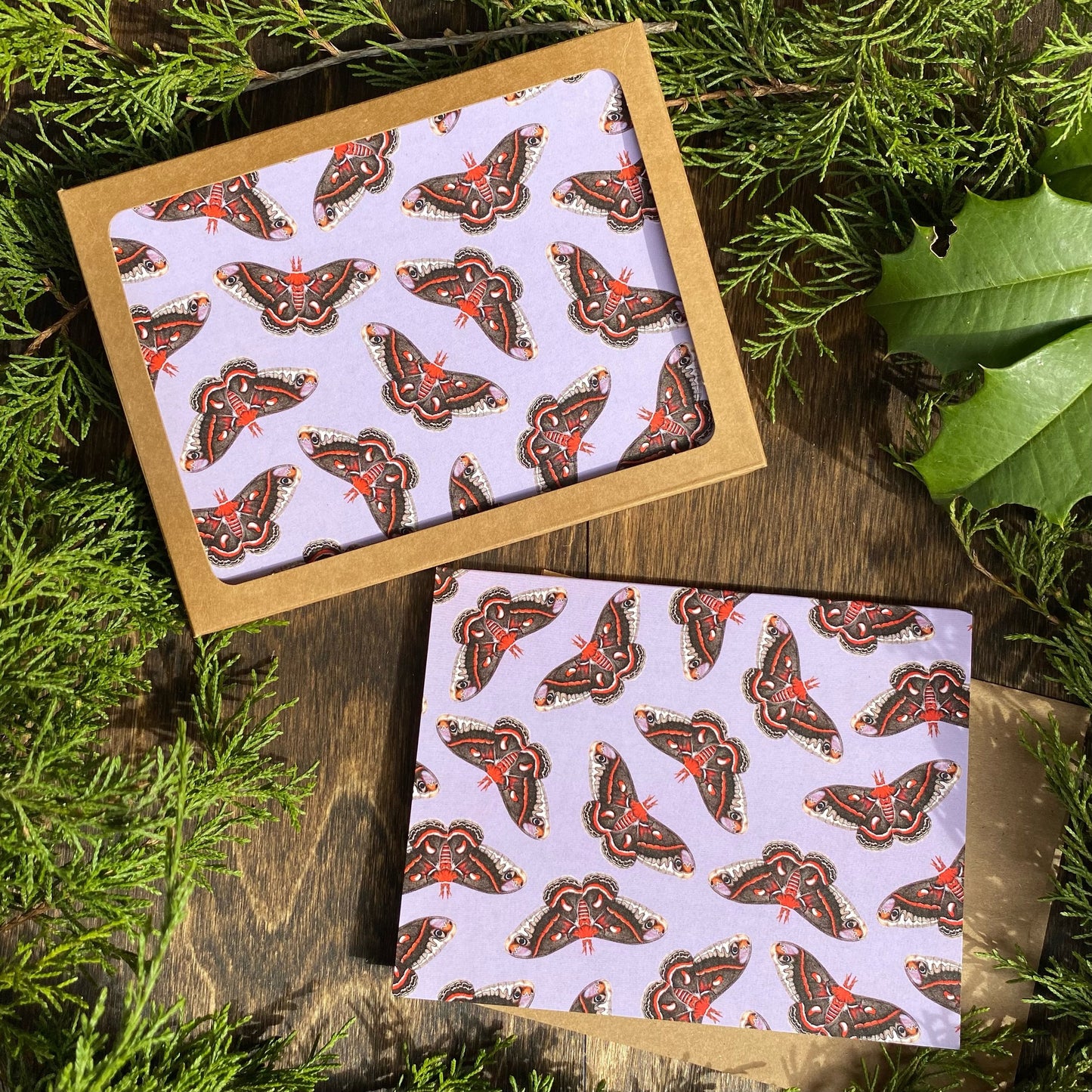 Butterfly and Moth Notecard Set