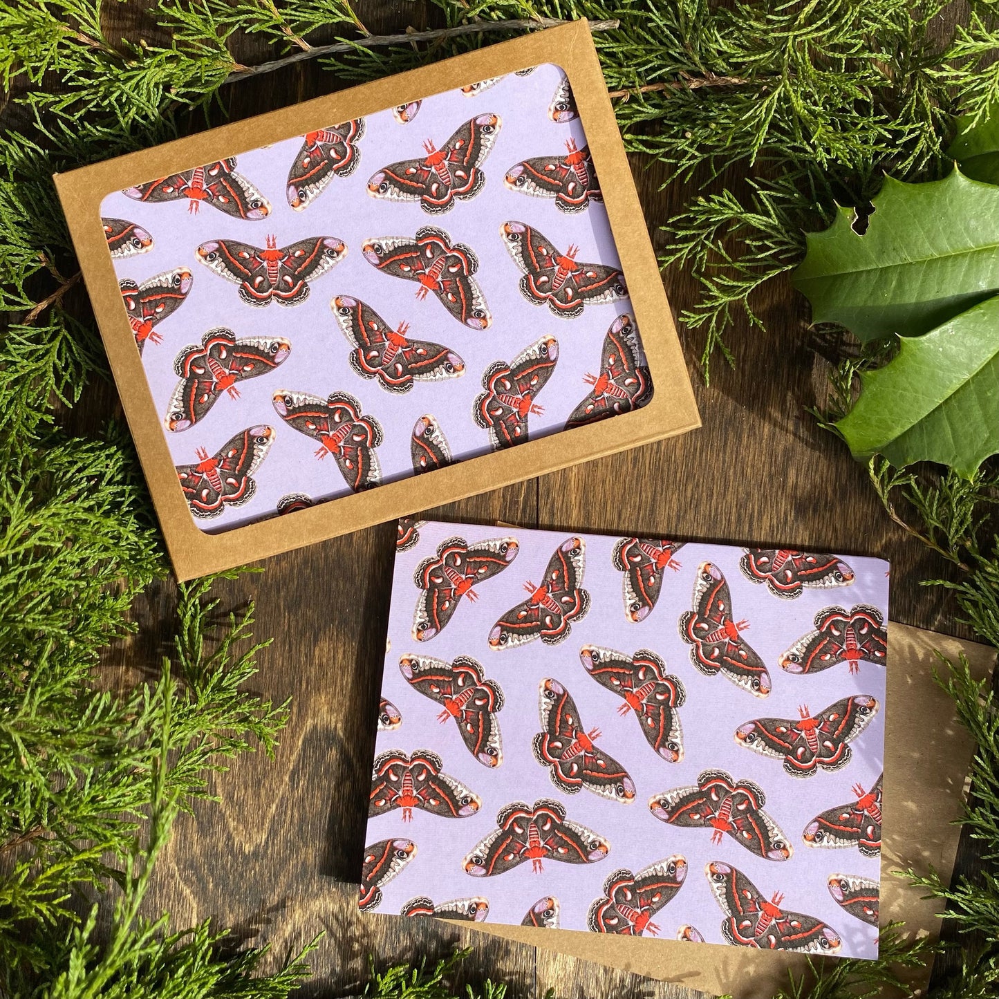 Cecropia Moth Notecard Set