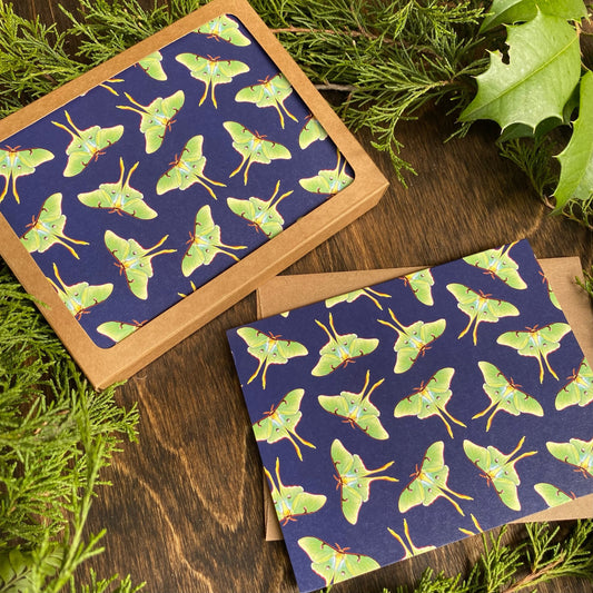A folding card featuring winter birds in scarves