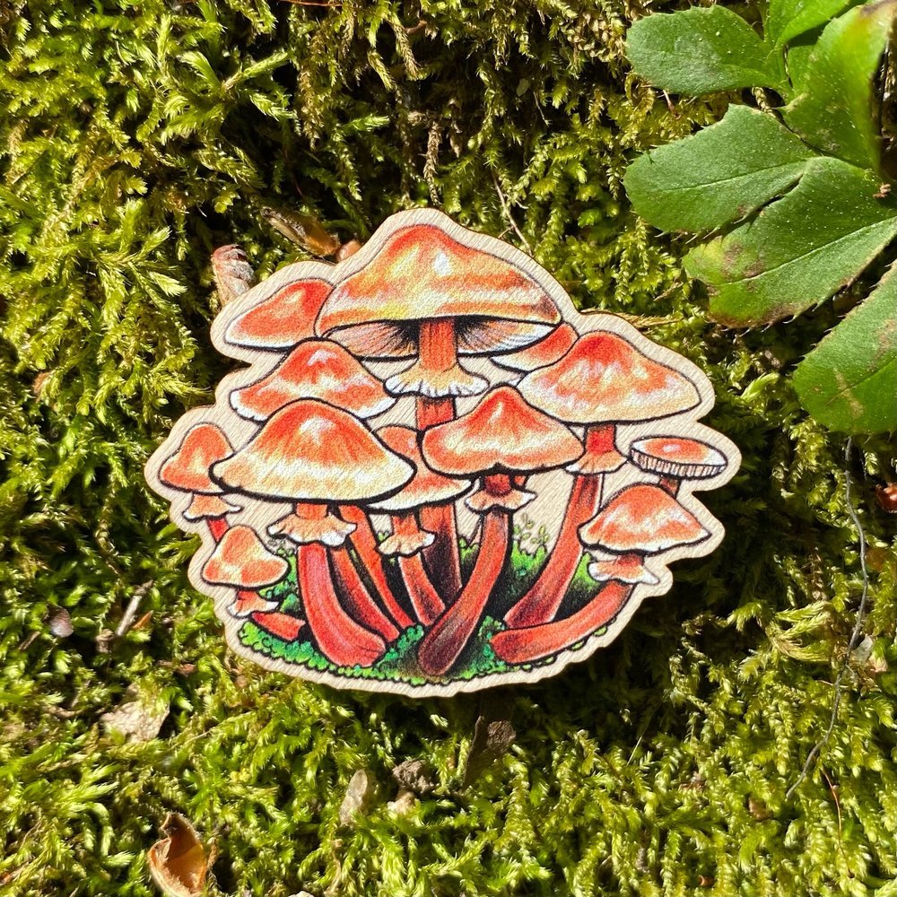 A sustainably sourced pin featuring an illustration of ringed honey mushroom