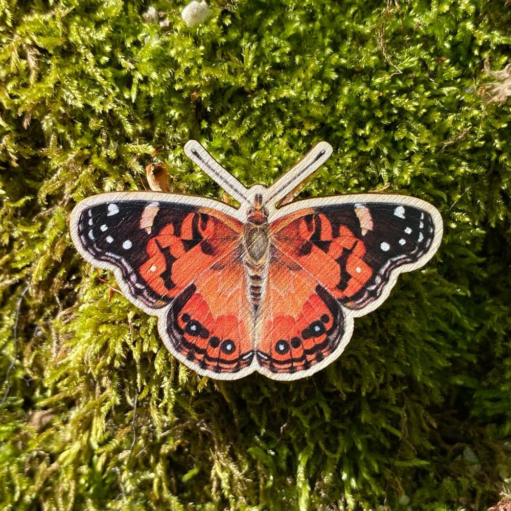 American Painted Lady Pin