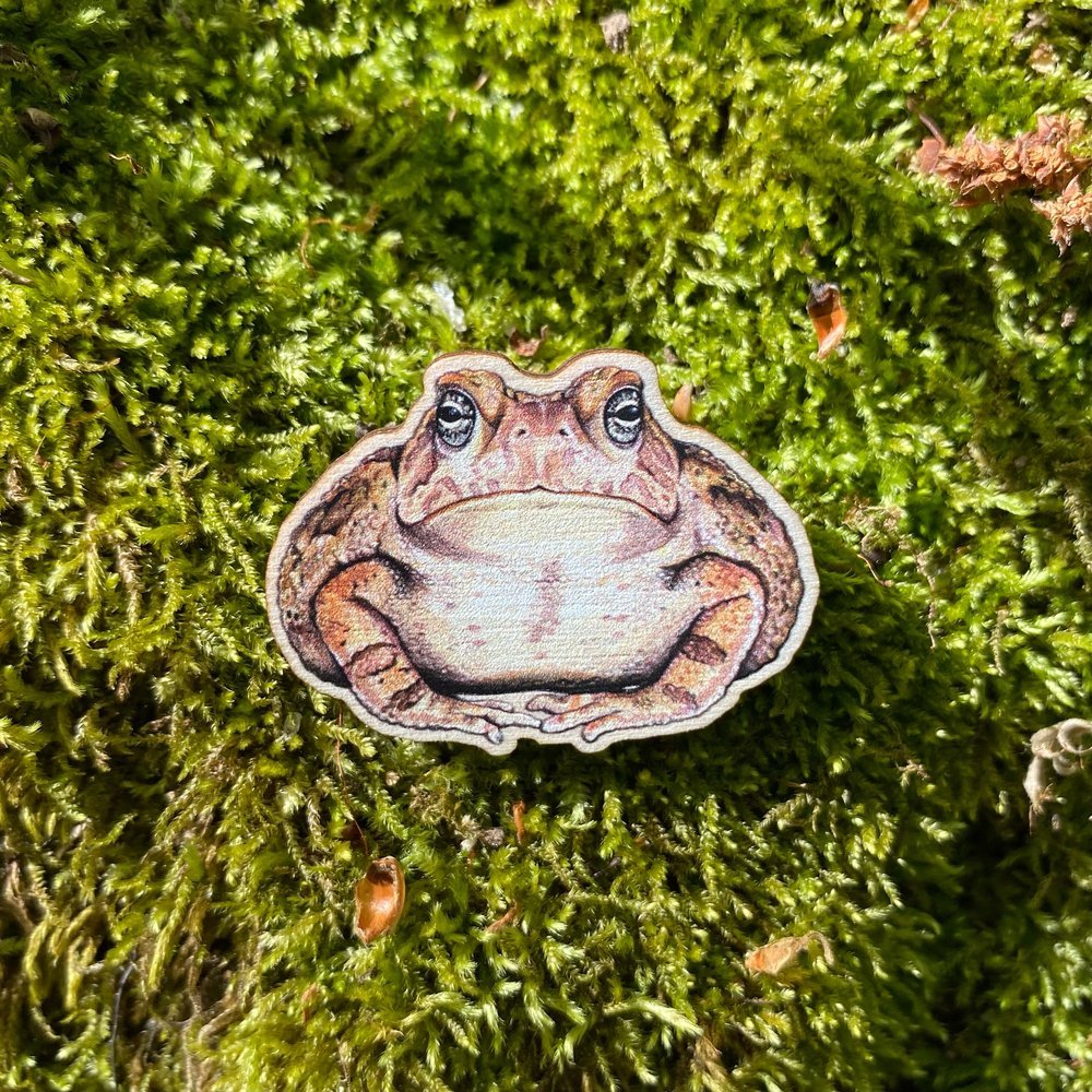 A sustainably sourced wooden pin featuring a Fowler's toad