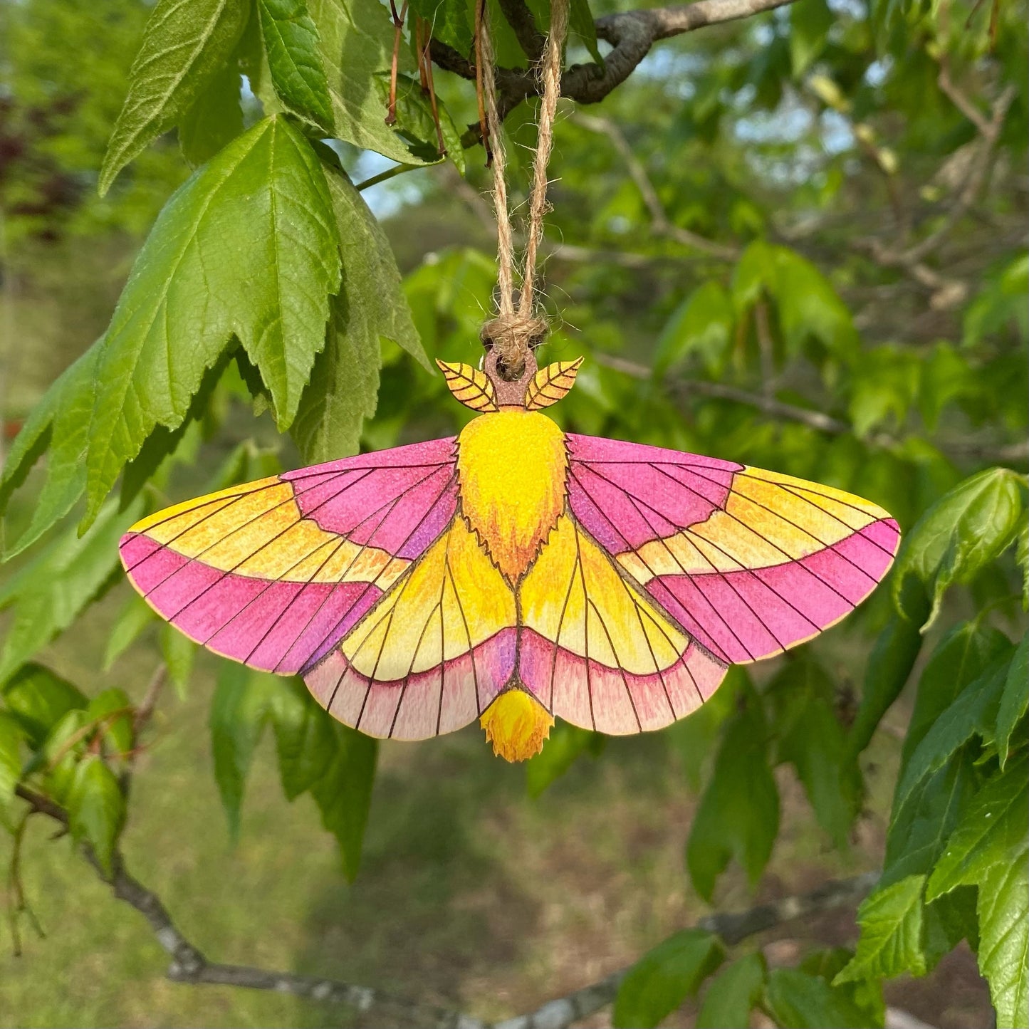 Rosy Maple Moth Hand-Painted Ornament