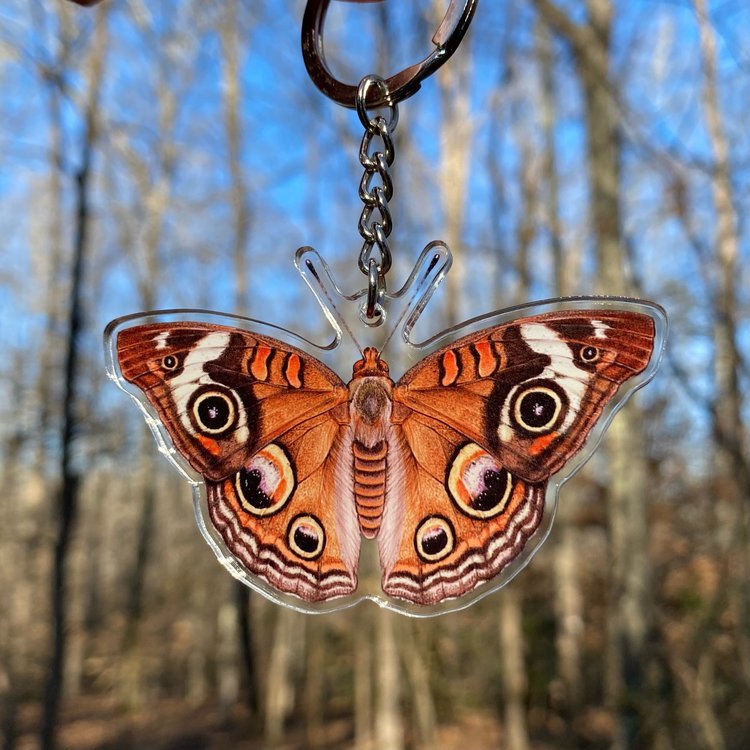 A keychain of a common buckeye butterfly being held in front of the forest.