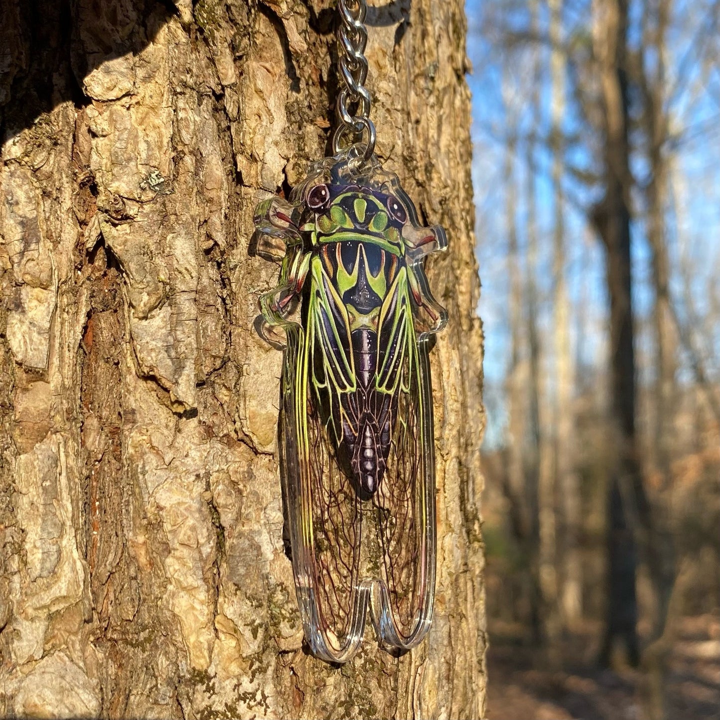 A keychain of a Linne's cicada against a tree trunk.