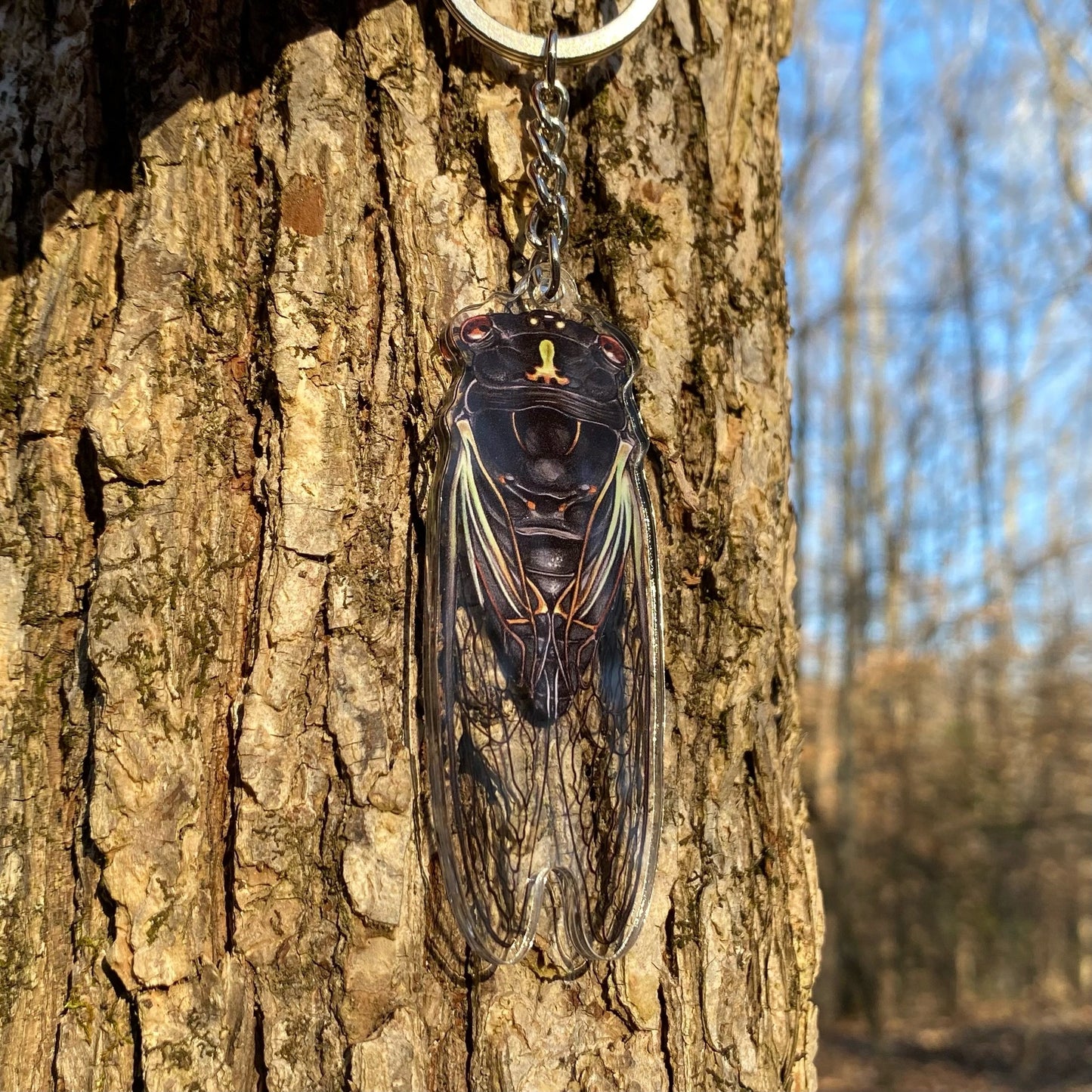 A keychain of a dark lyric cicada against a tree trunk.