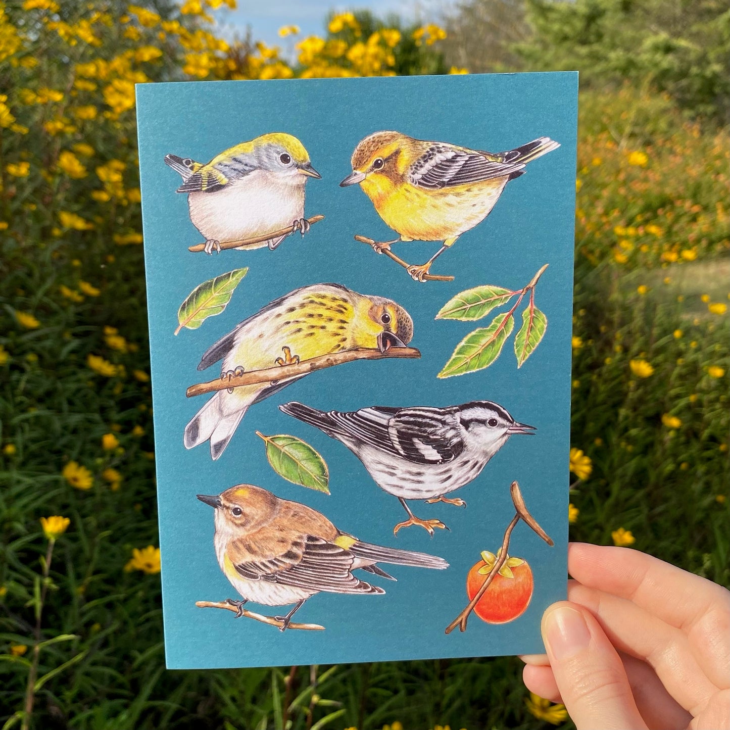 A greeting card featuring a spread of fall warblers