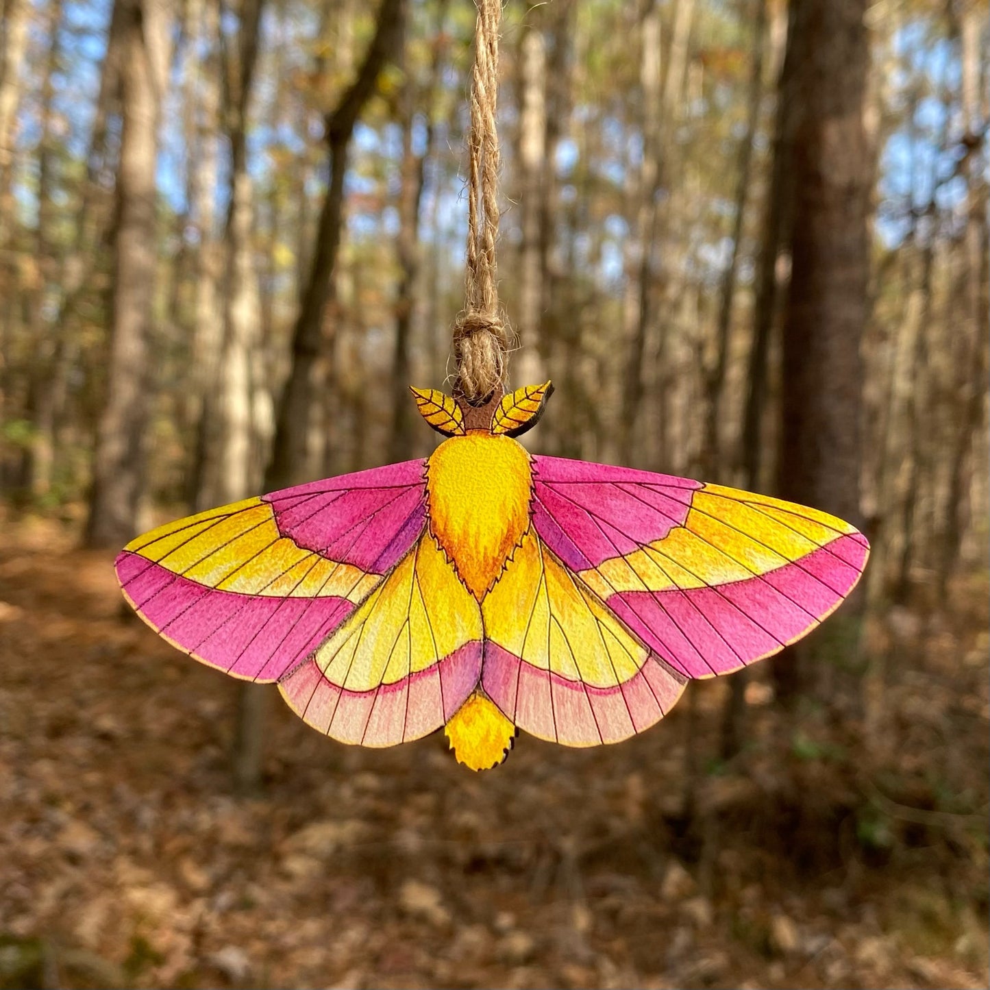 A hand-painted pink and yellow rosy maple moth ornament made of Baltic birch plywood, with twine for hanging.