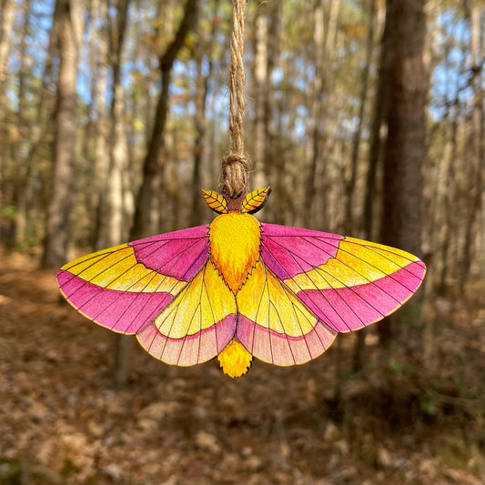 A hand-painted pink and yellow rosy maple moth ornament made of Baltic birch plywood, with twine for hanging.