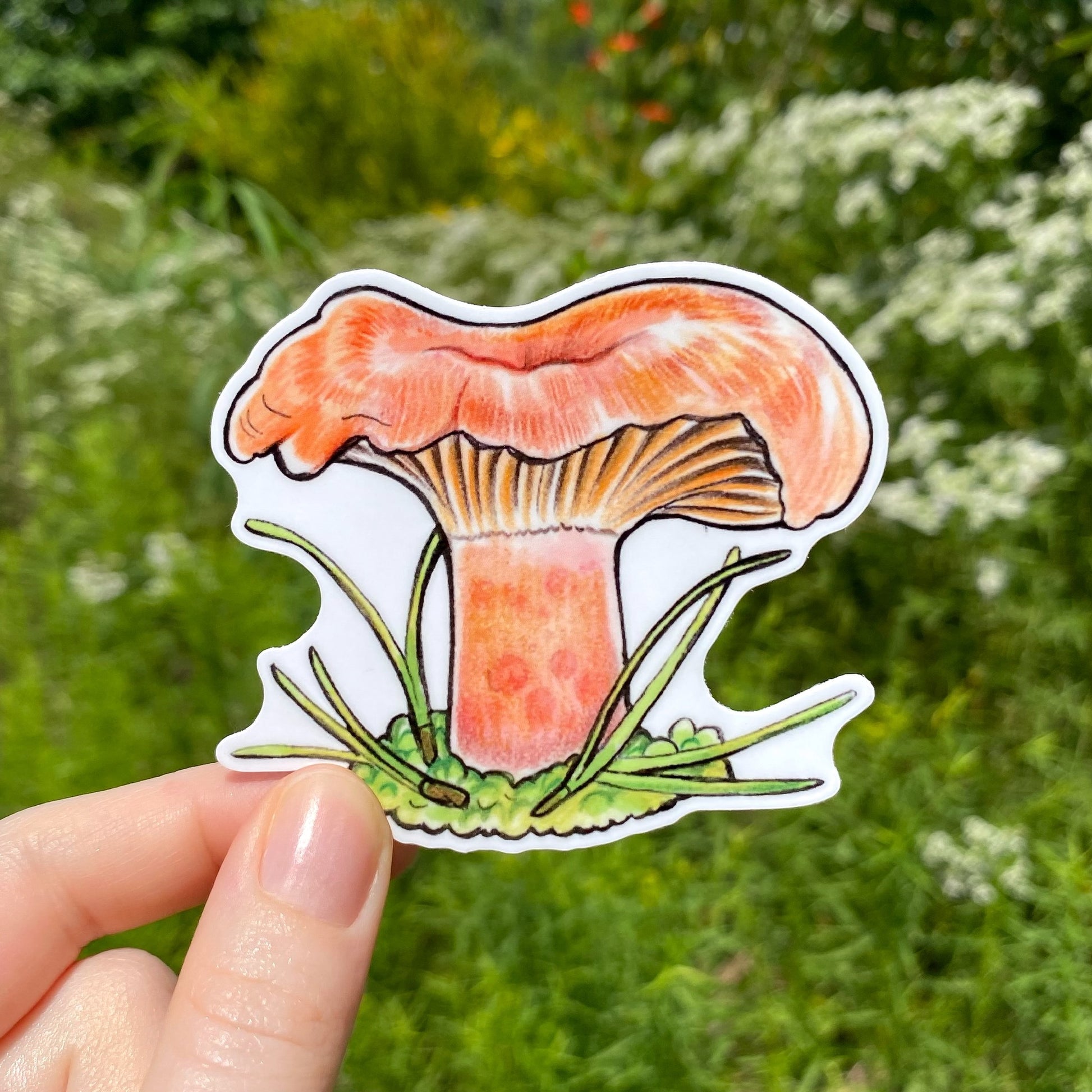 A hand holding a weatherproof vinyl sticker of a saffron milkcap mushroom.