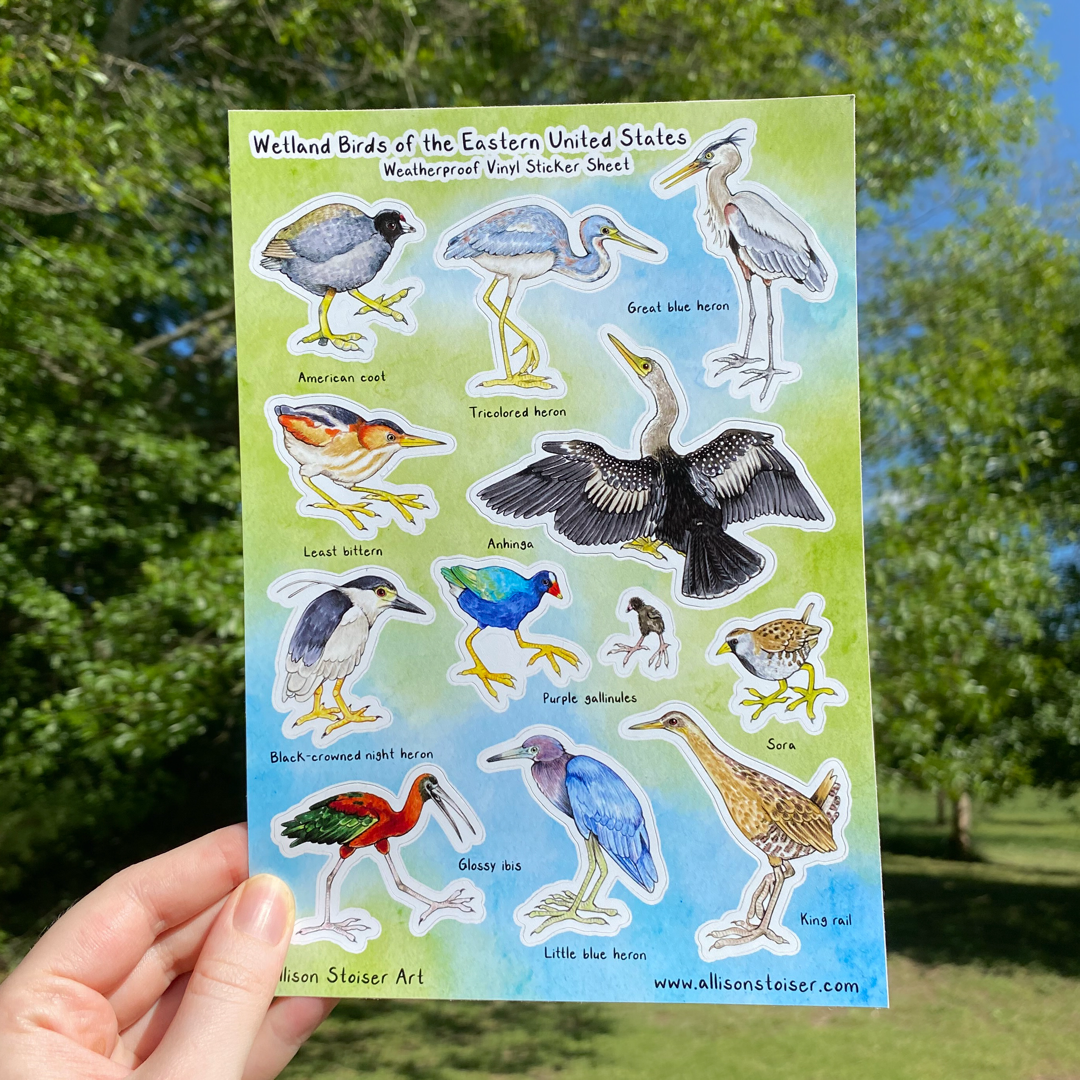 Wetland Birds of the Eastern U.S. Large Weatherproof Vinyl Sticker Sheet