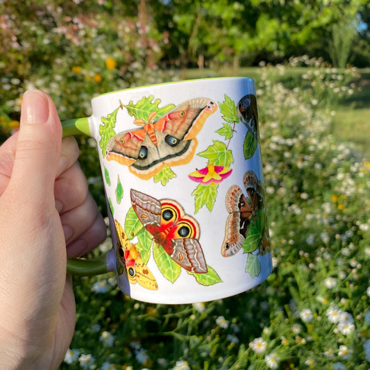 Silk Moths of the Eastern United States Mug