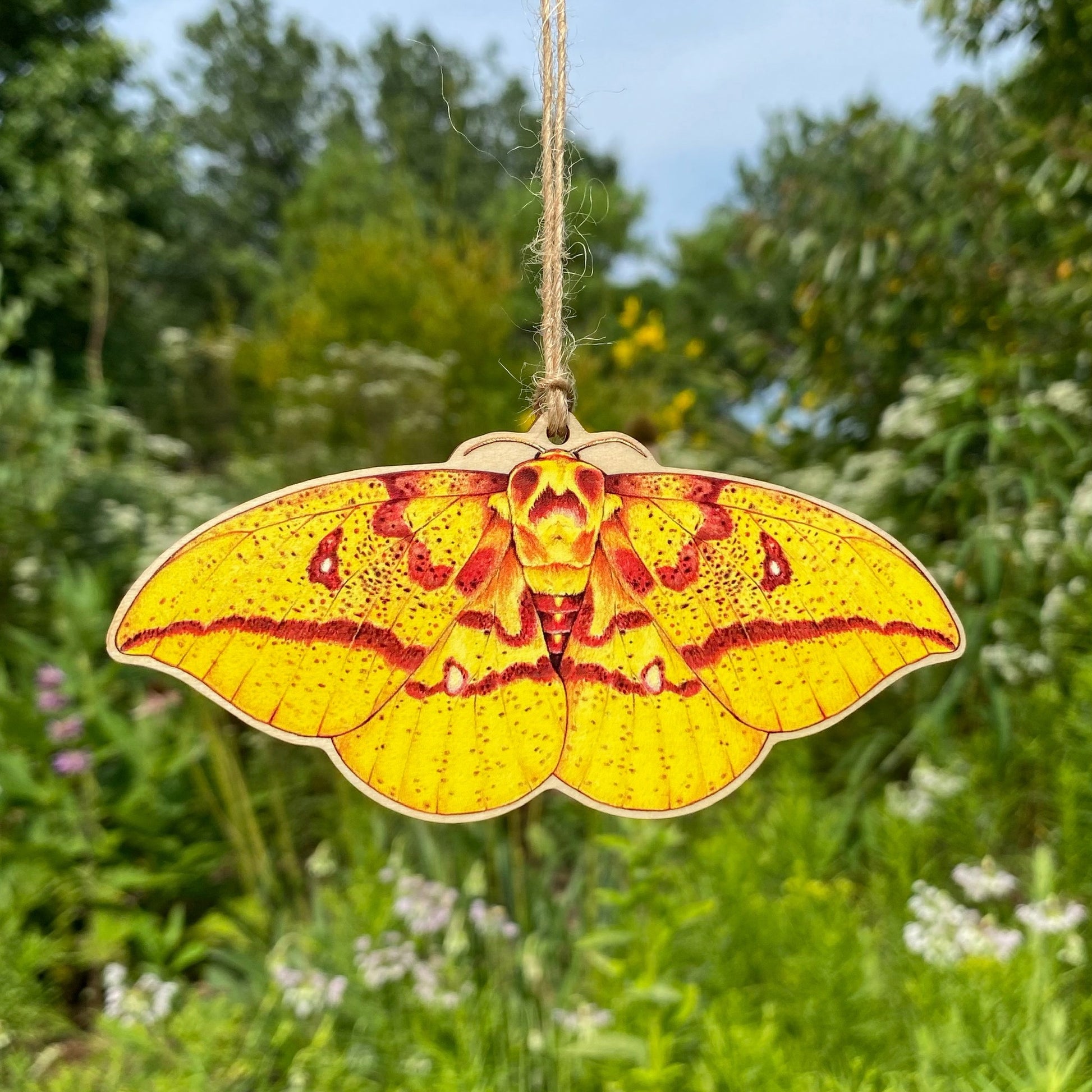 A wooden ornament strung with twine of an imperial moth.