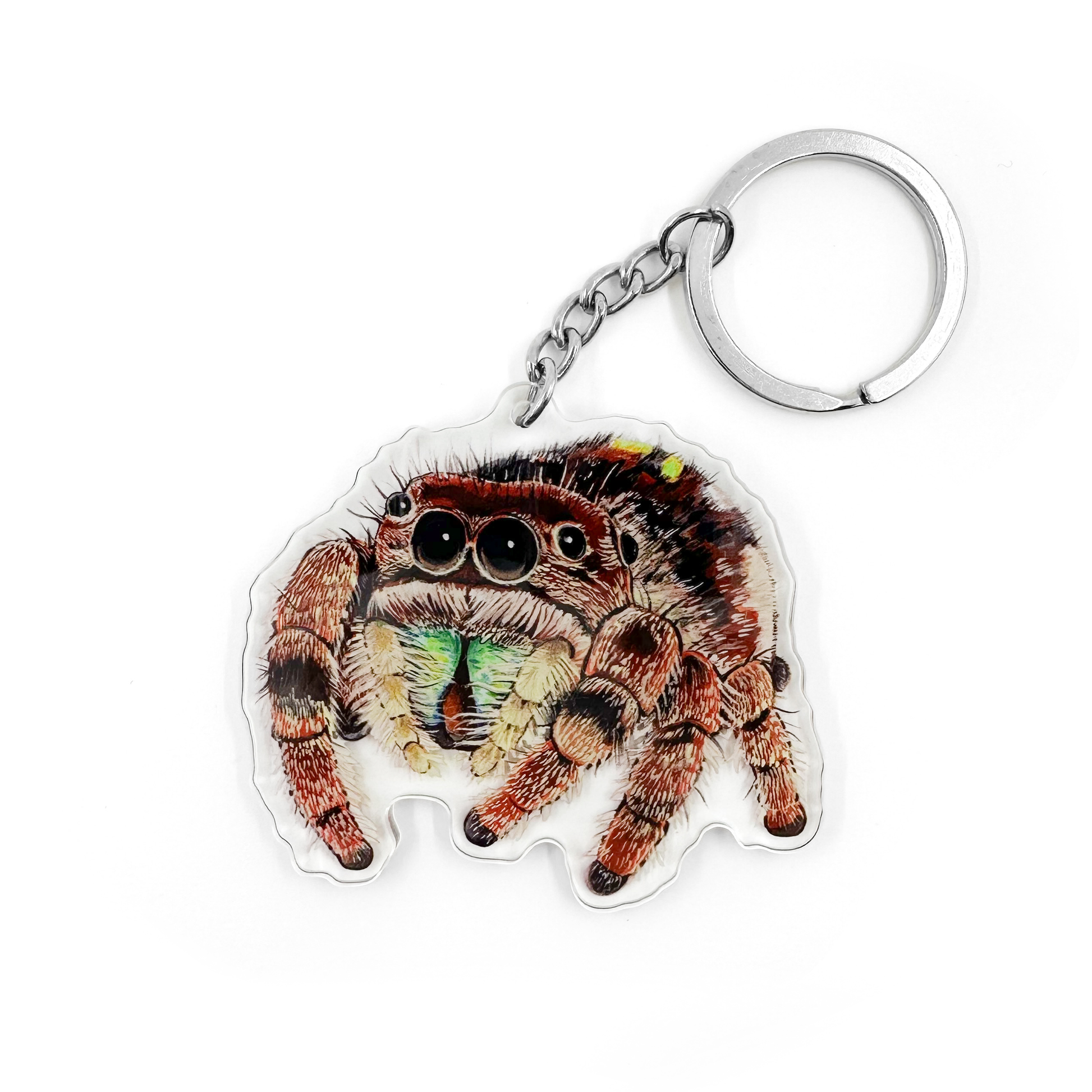 A keychain featuring an illustration of a jumping spider