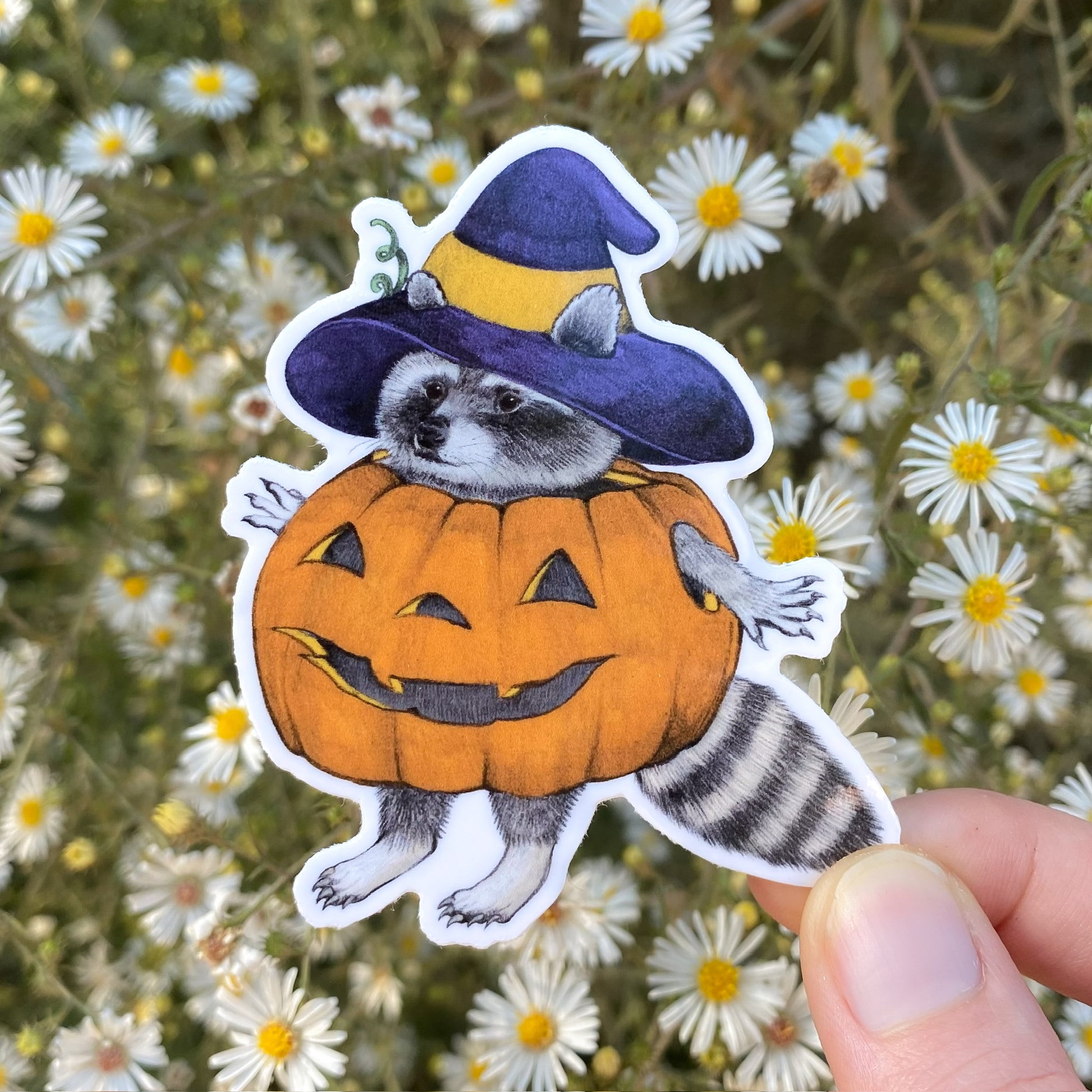 A hand holding a weatherproof vinyl sticker of a raccoon in an orange pumpkin and purple witch hat.