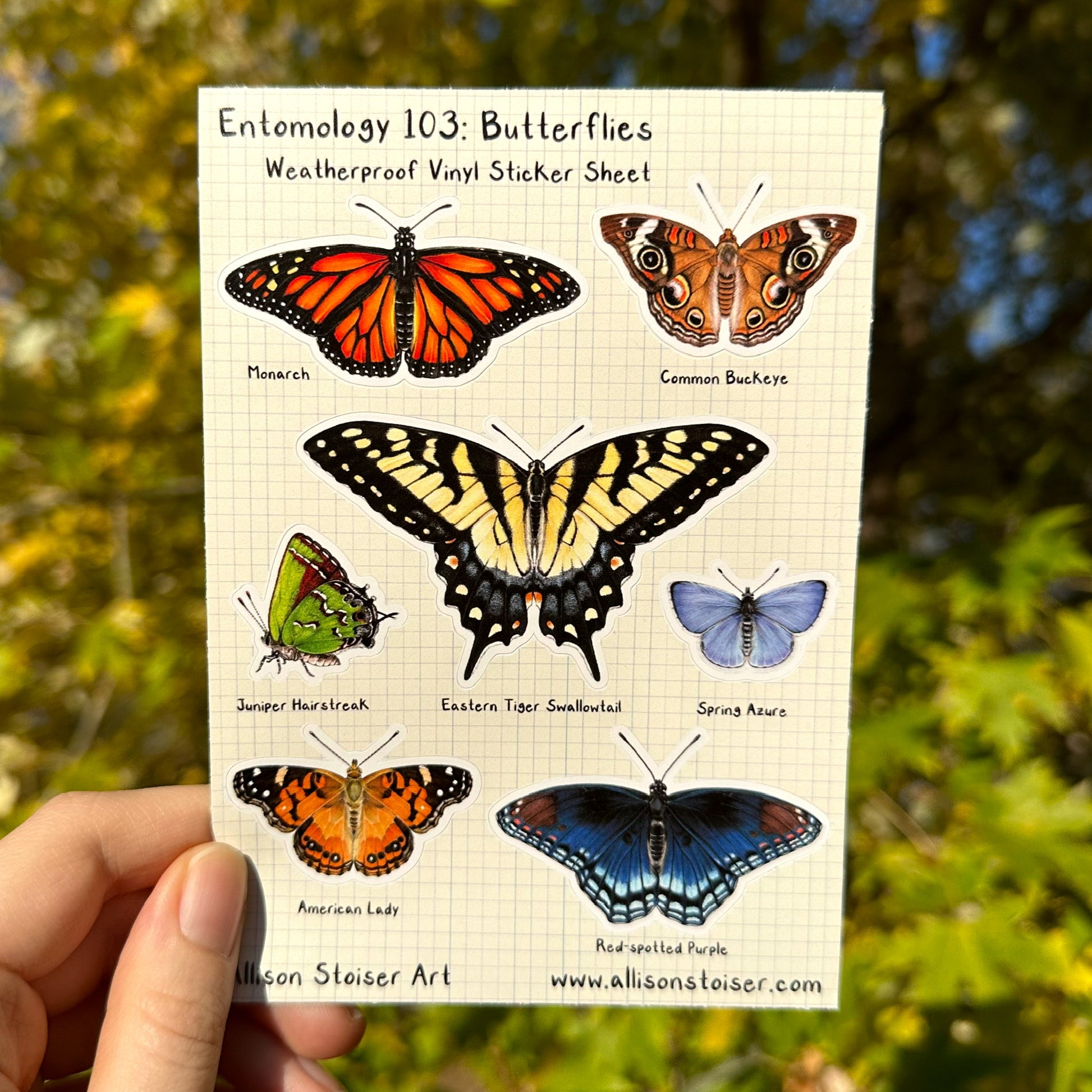 A weatherproof sticker sheet featuring illustrations of butterflies